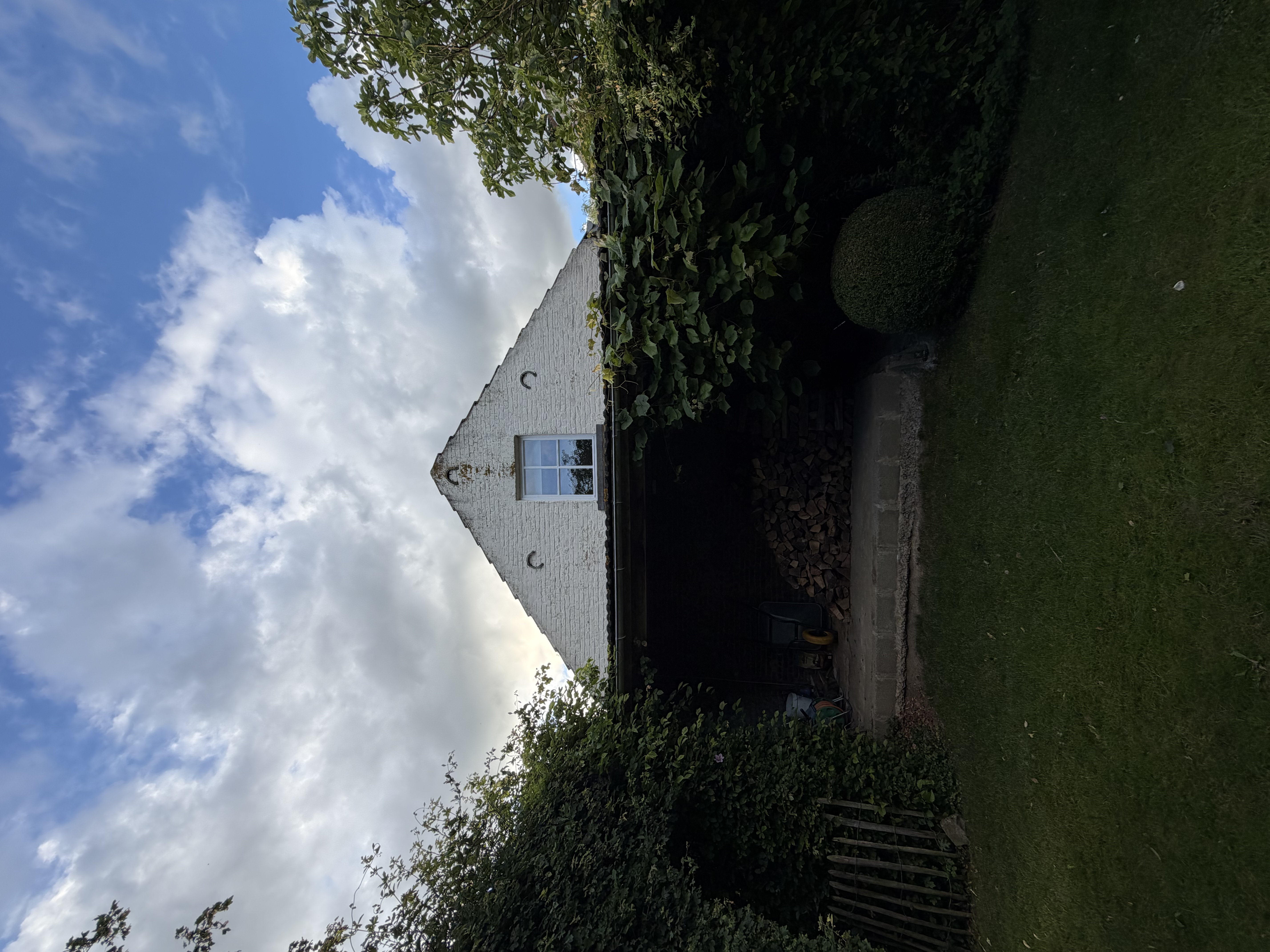 image-17