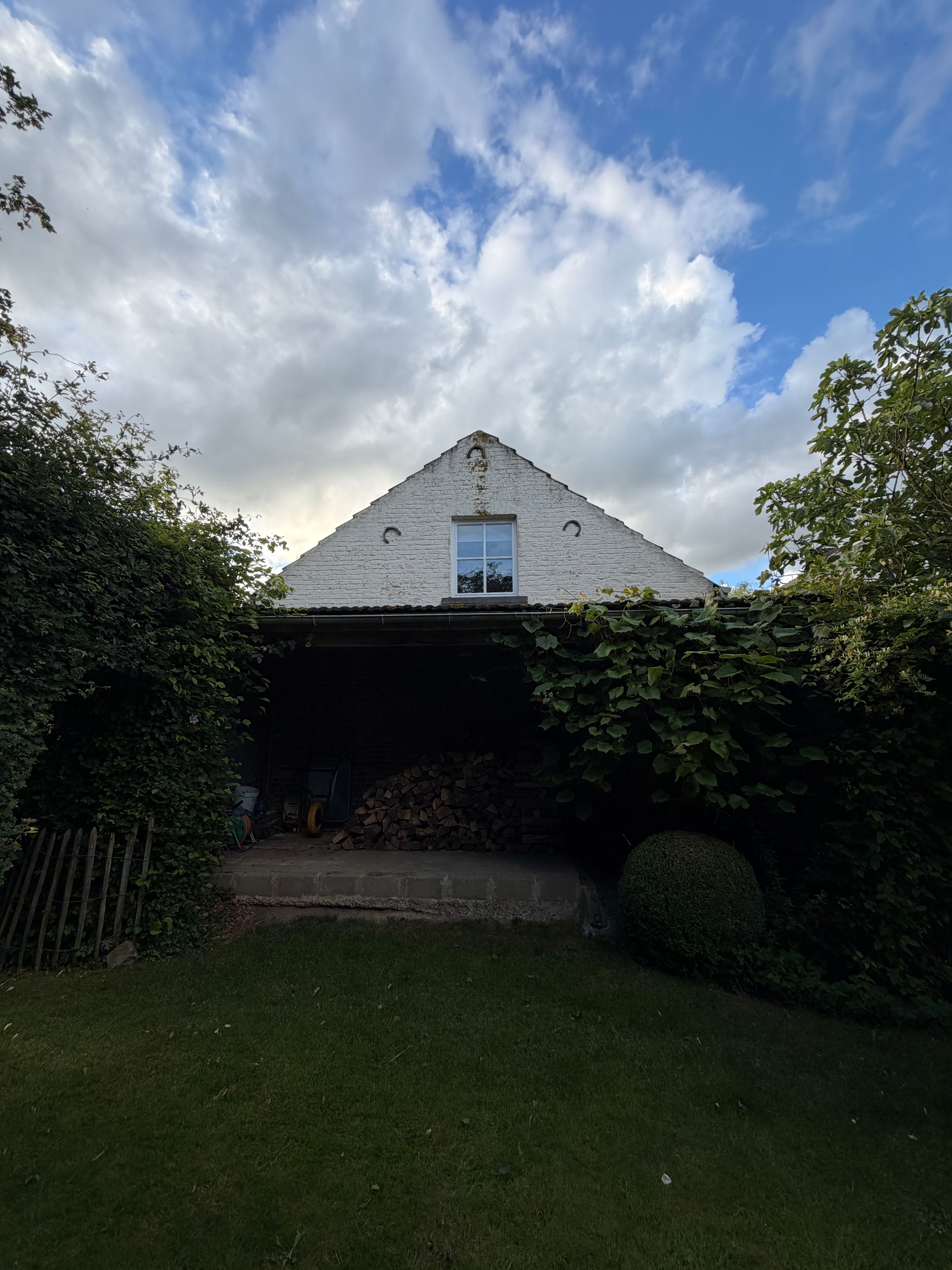 image-17