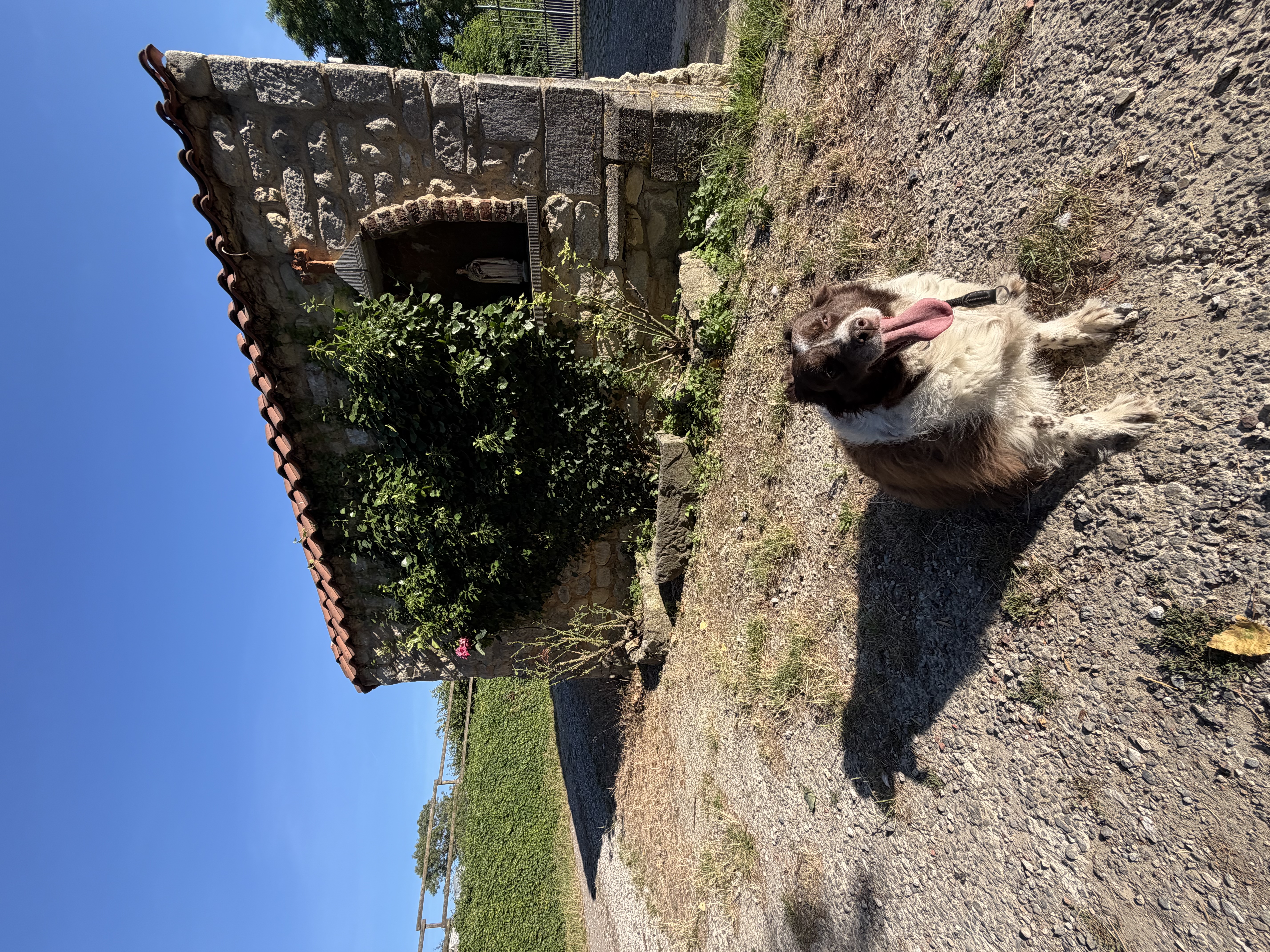 image-16