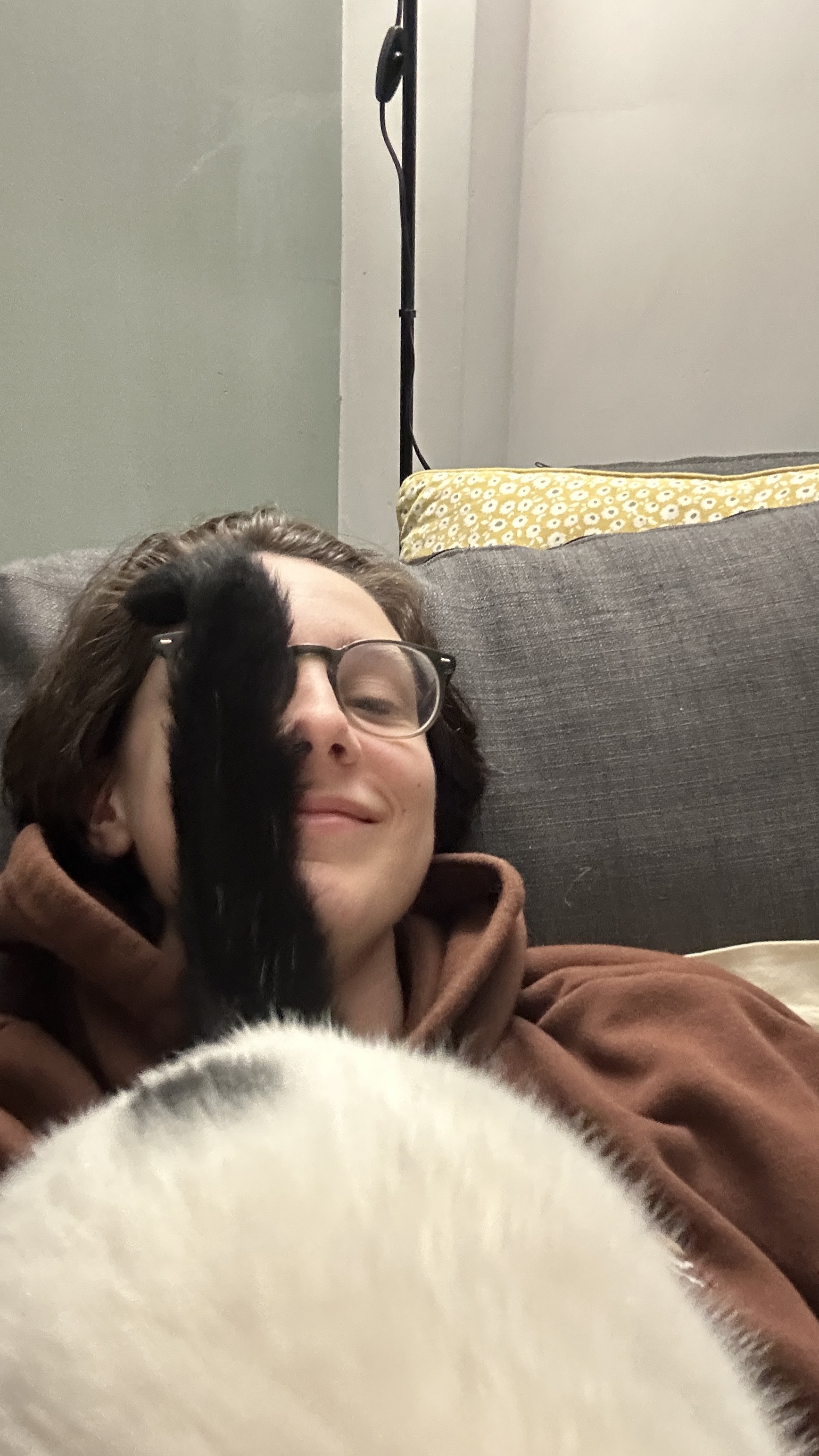 image-6