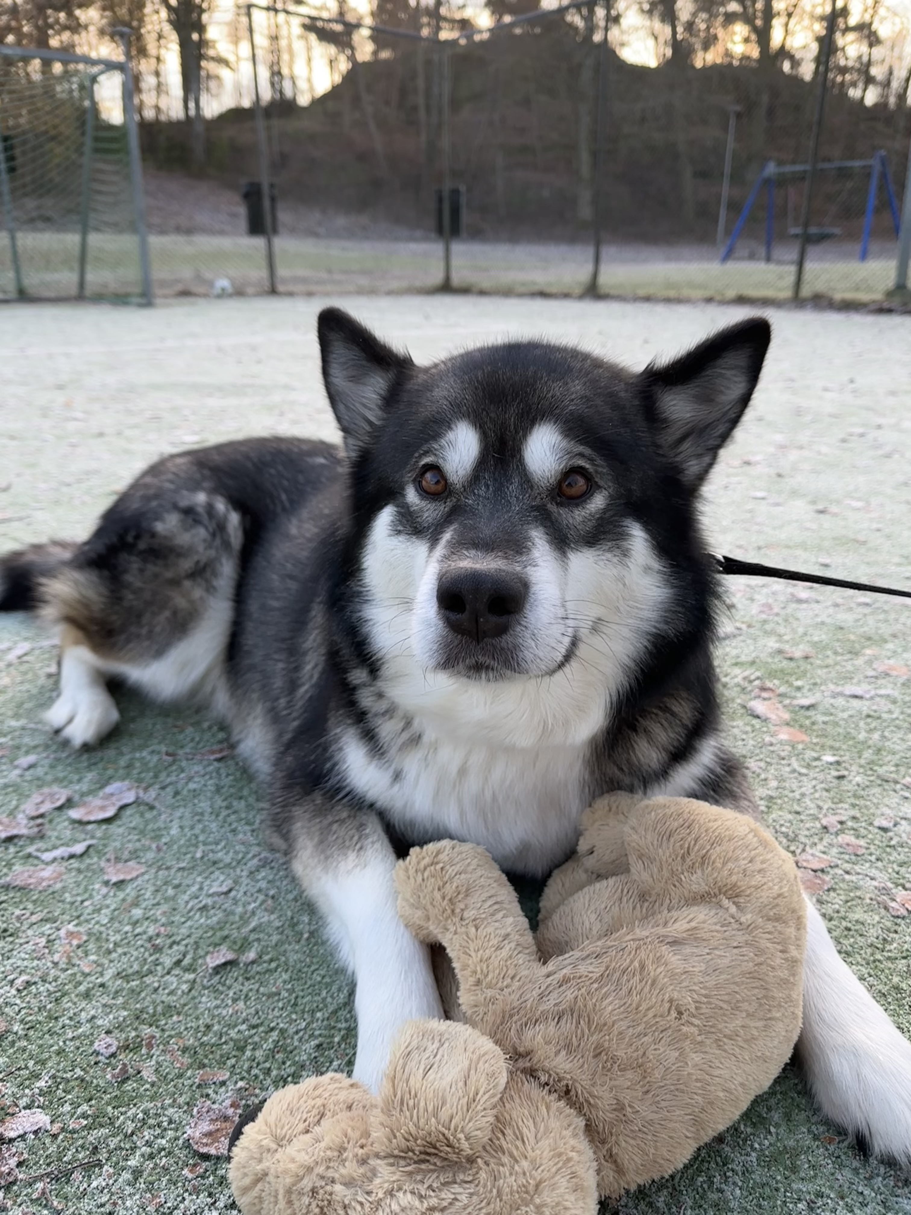 image-6
