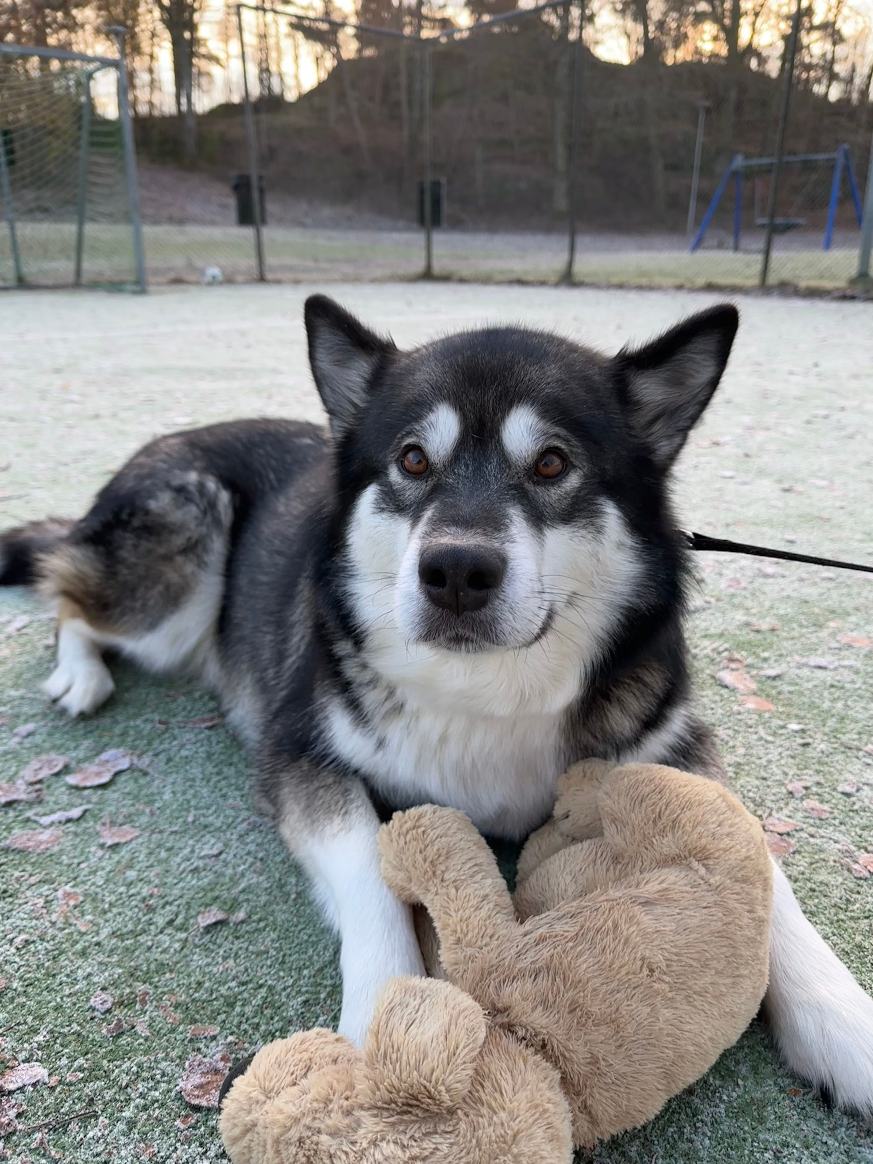 image-6