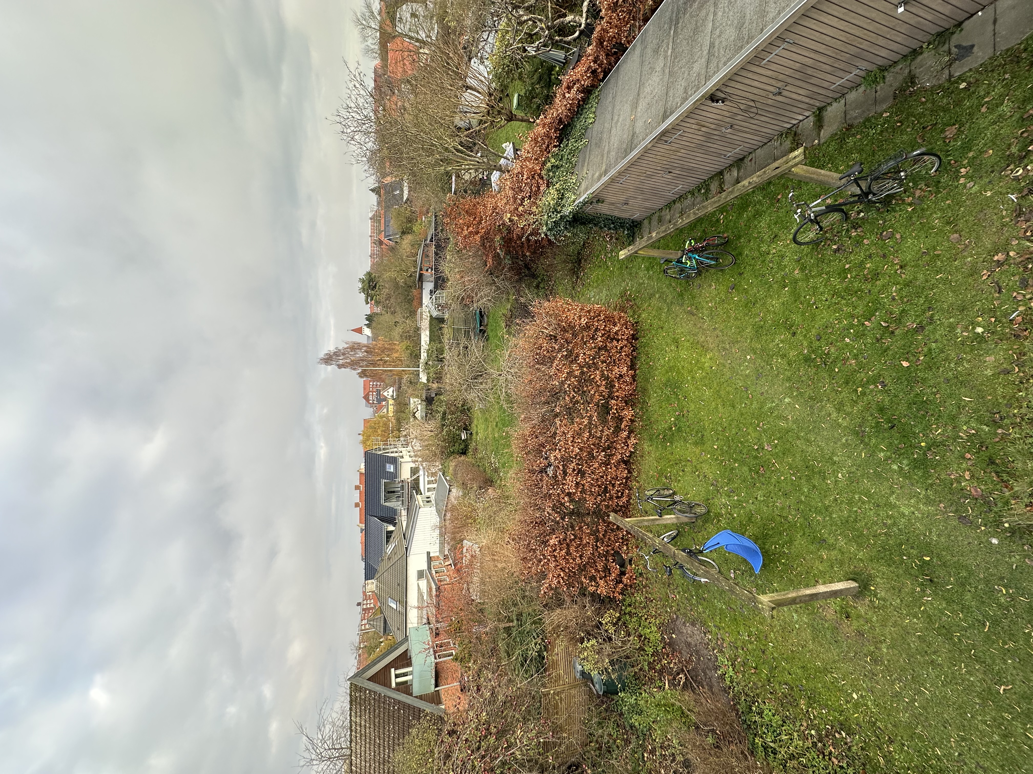 image-15