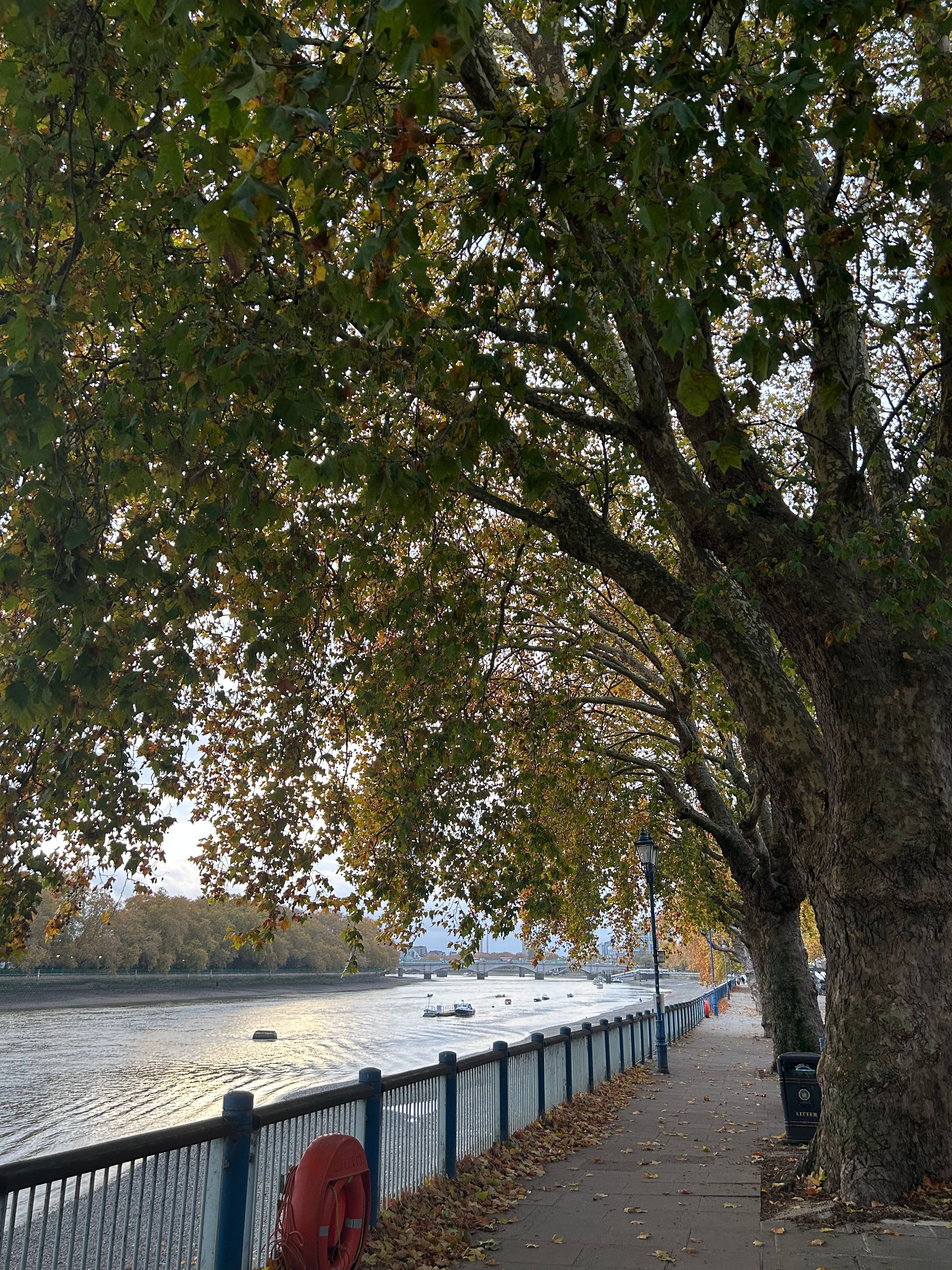 image-17