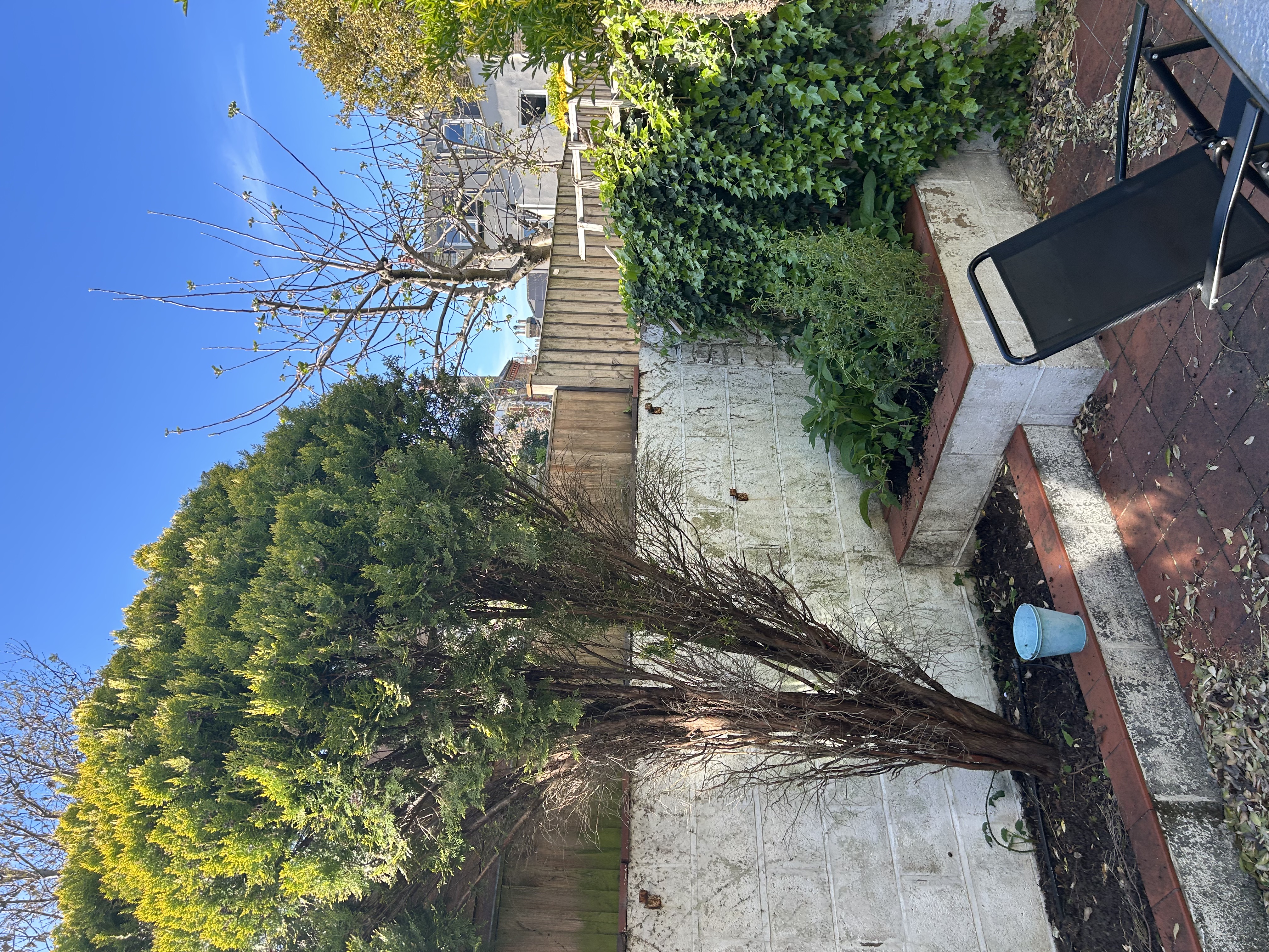 image-16