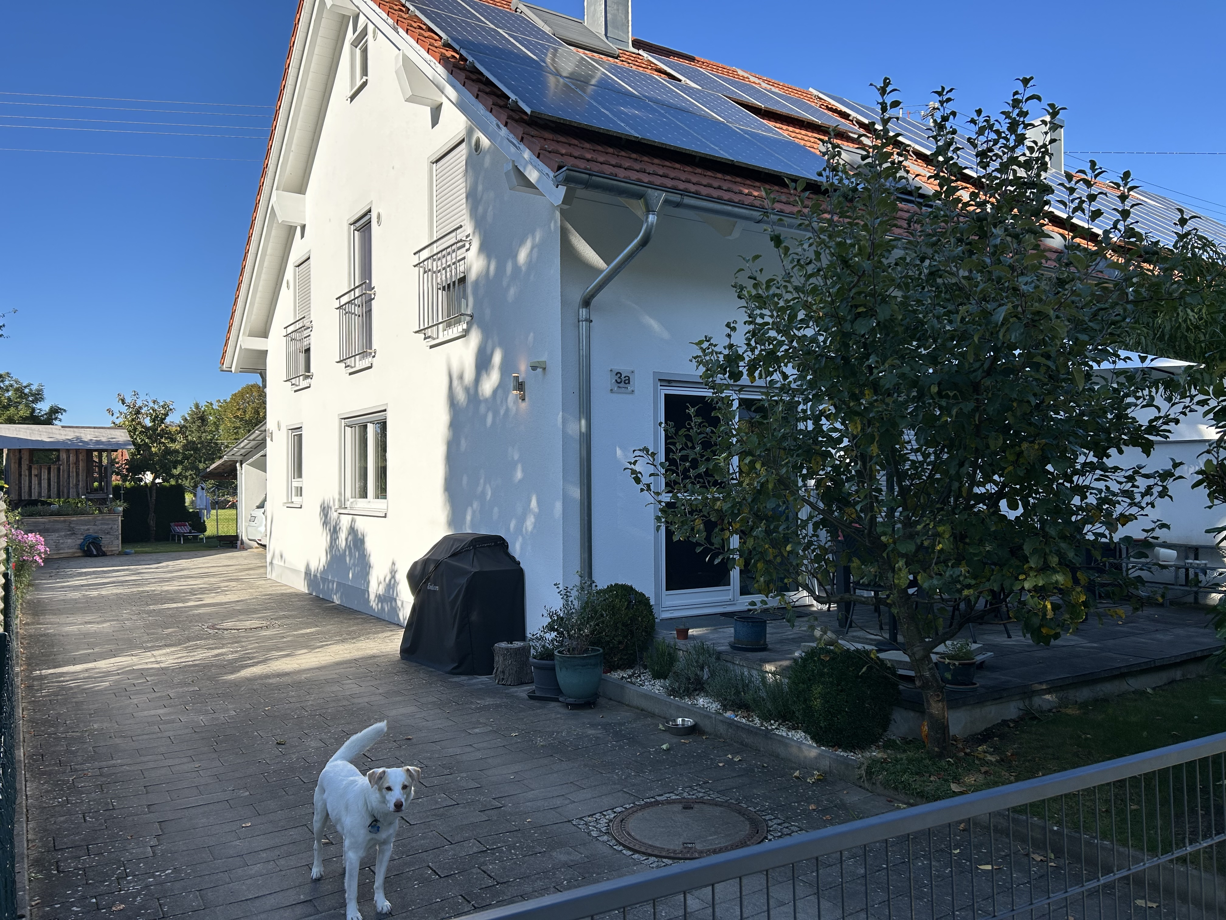 image-17
