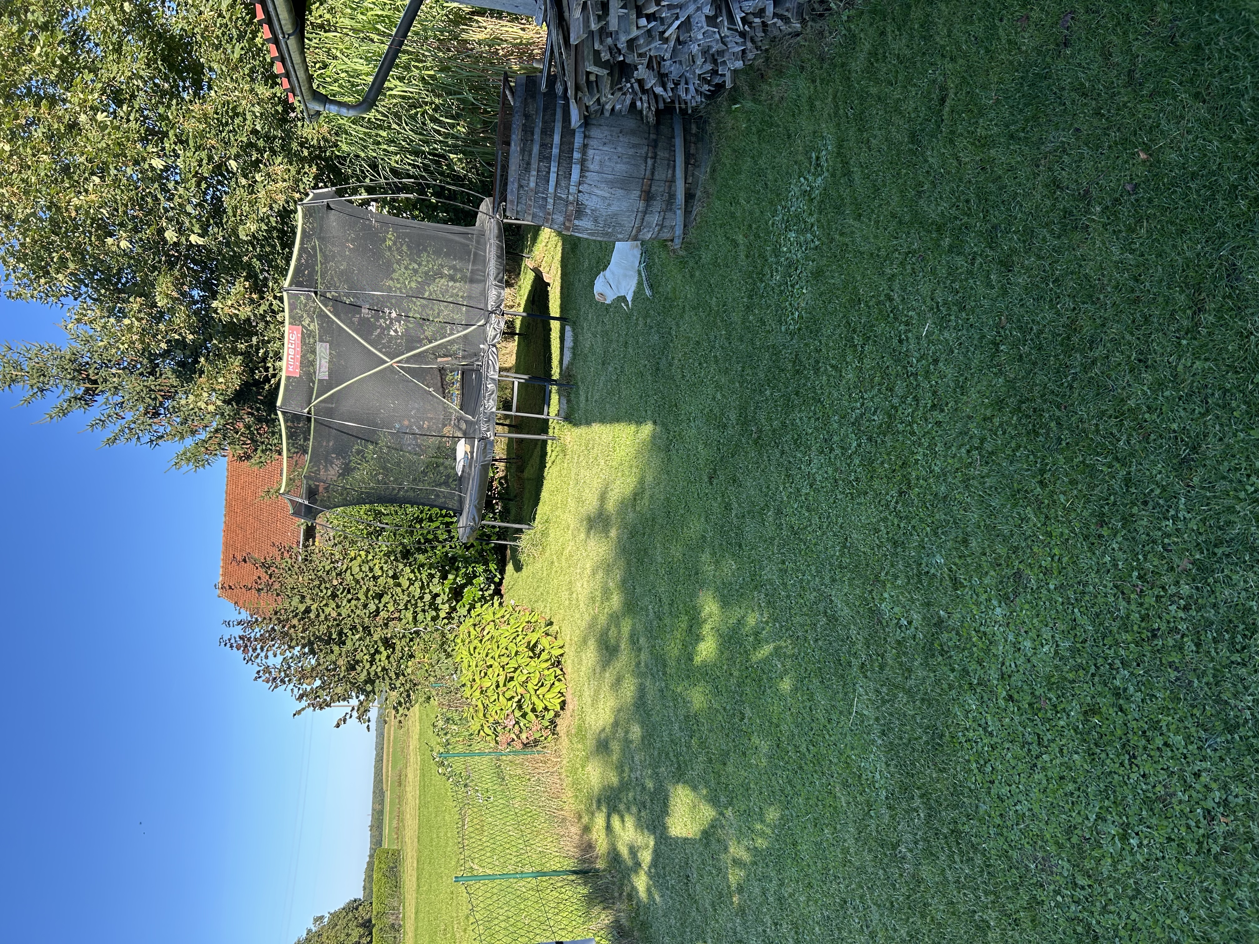 image-19
