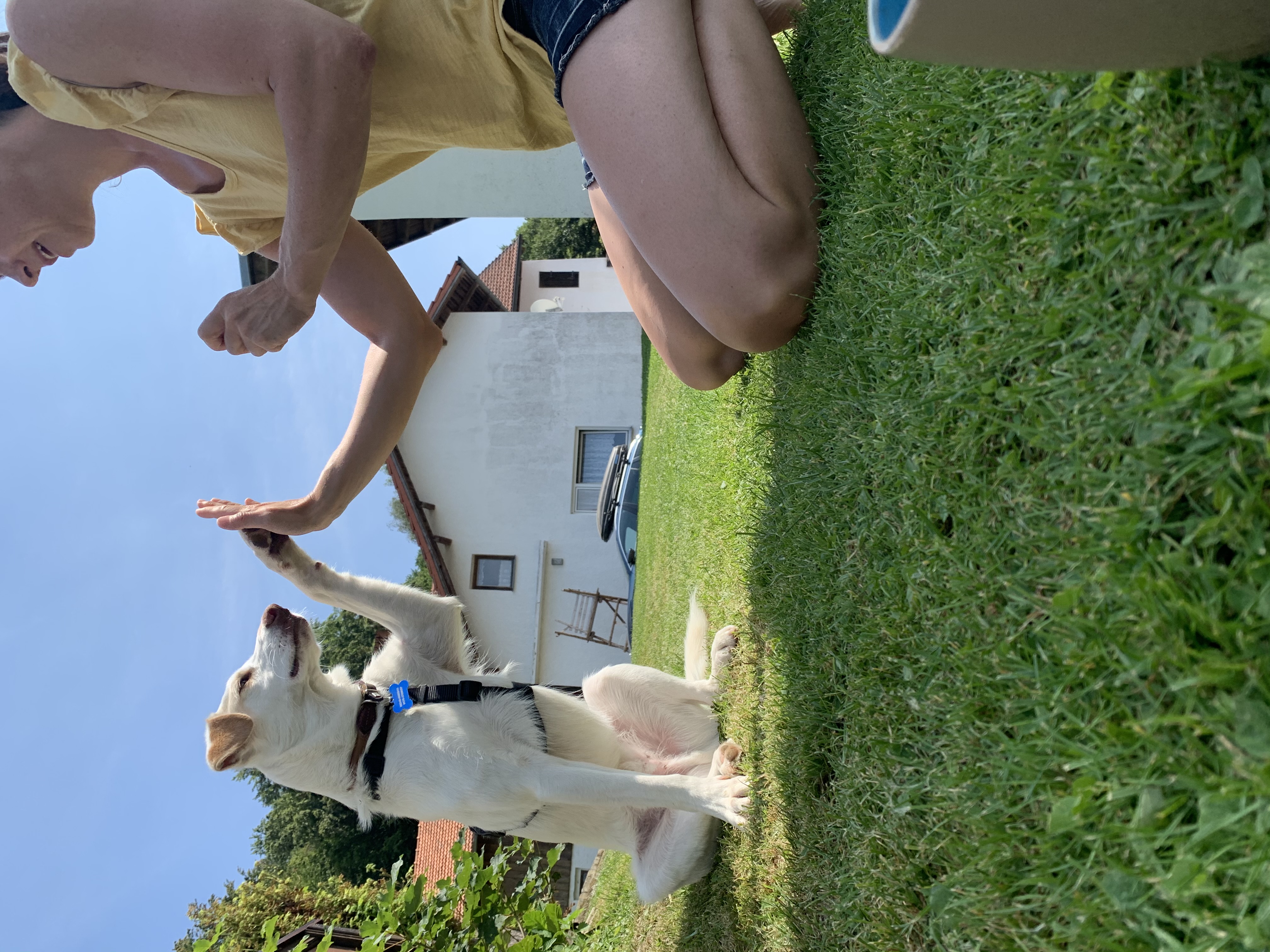 image-0