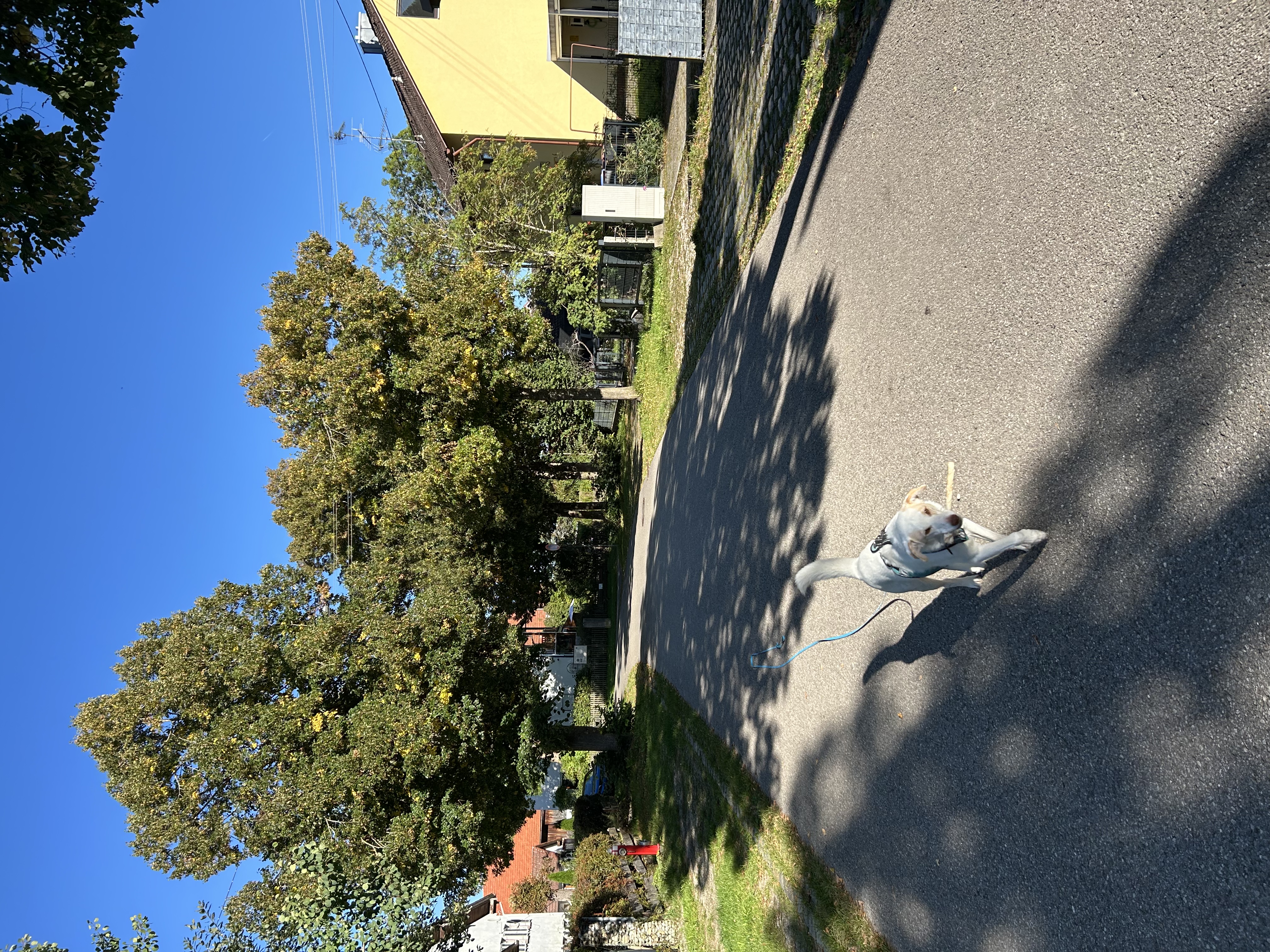 image-26