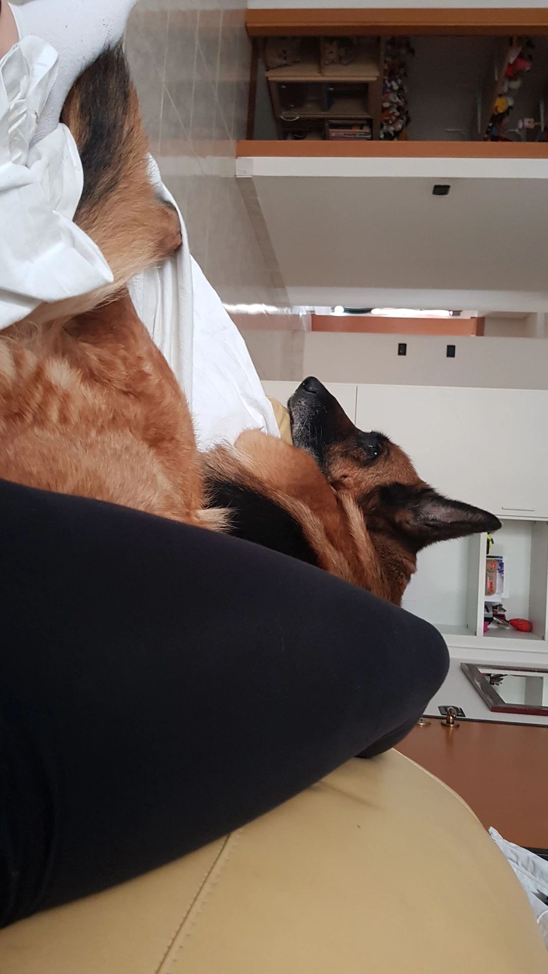 image-7