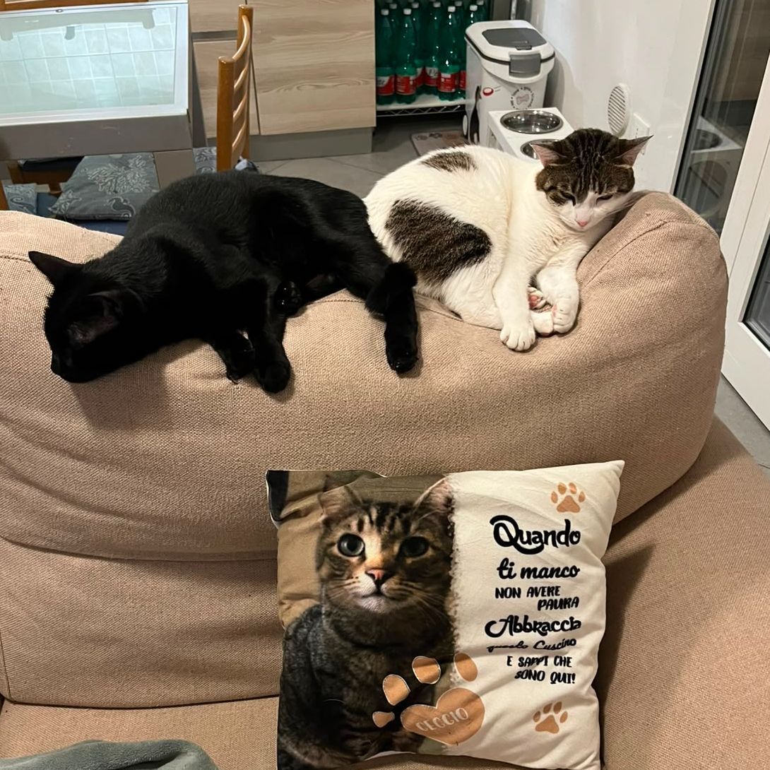 Olivia & Zen