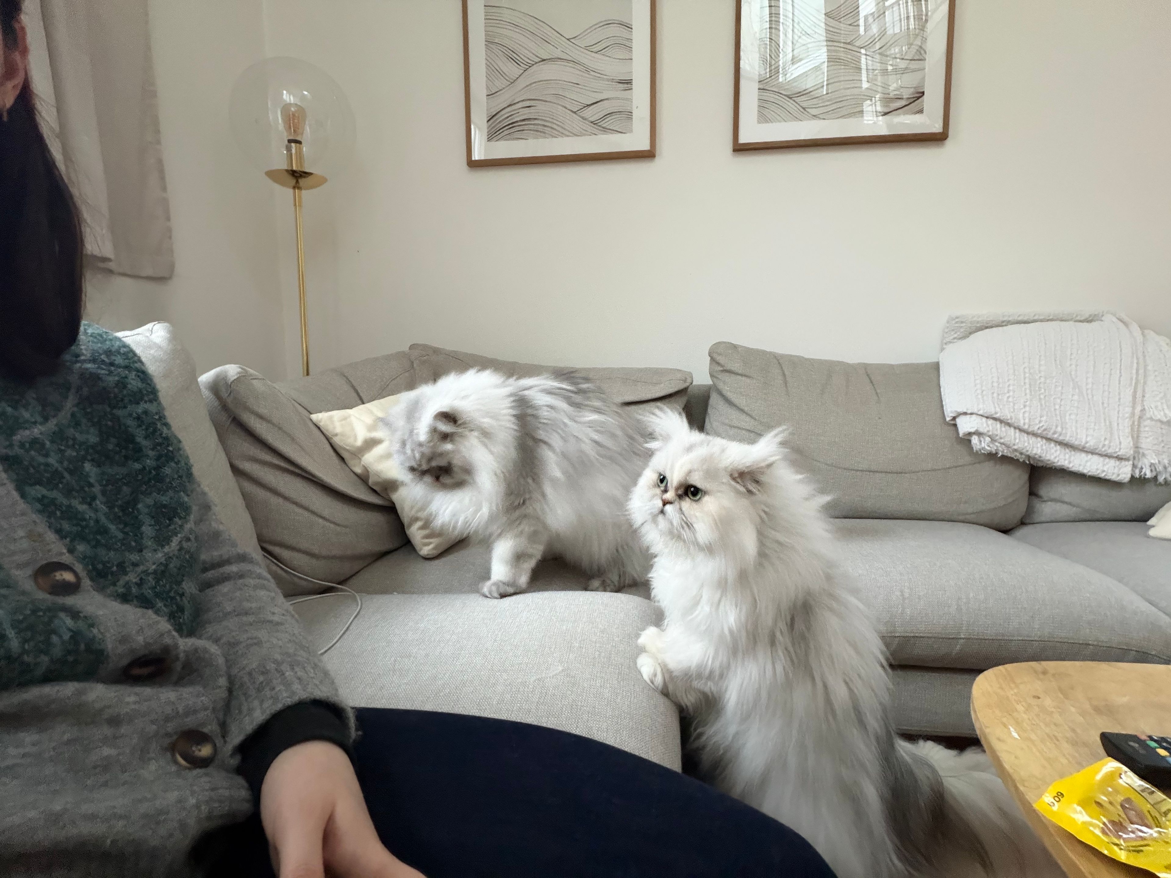 image-17