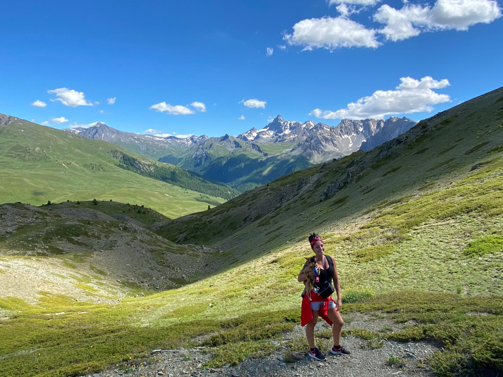 image-7