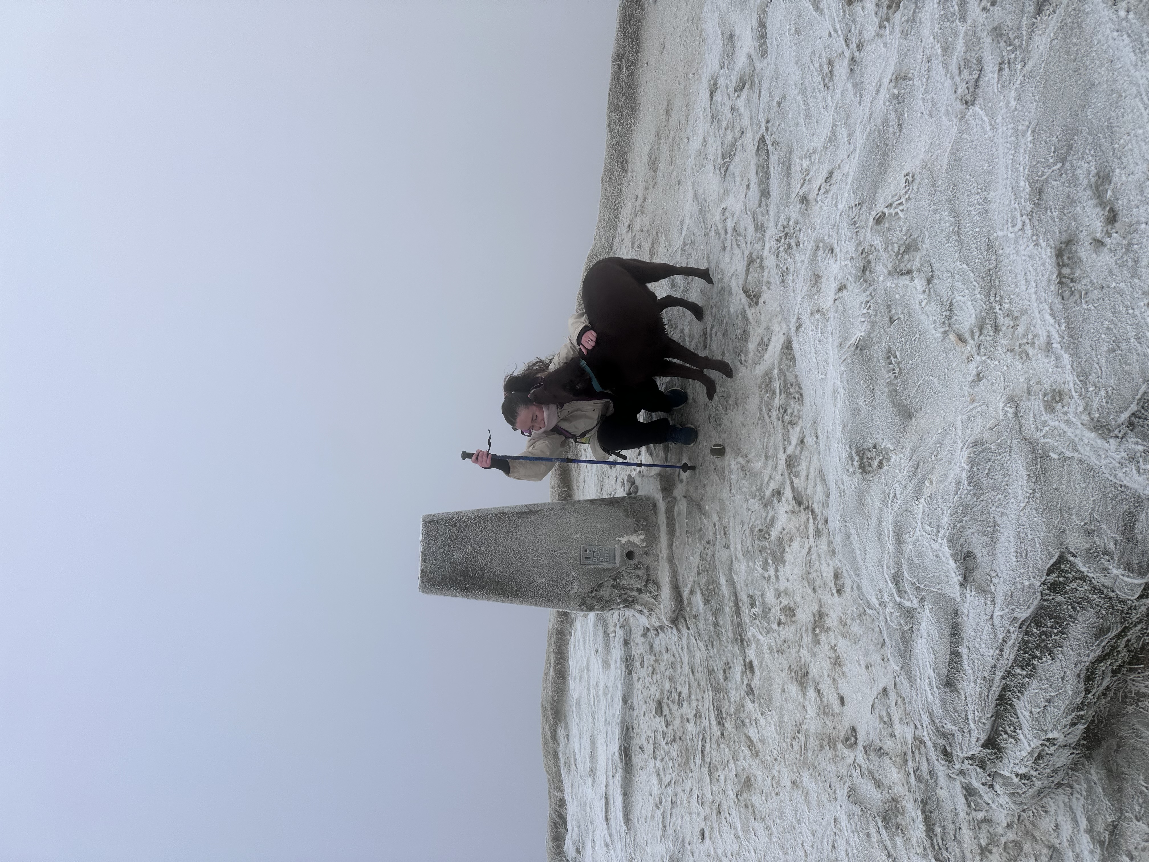 image-0