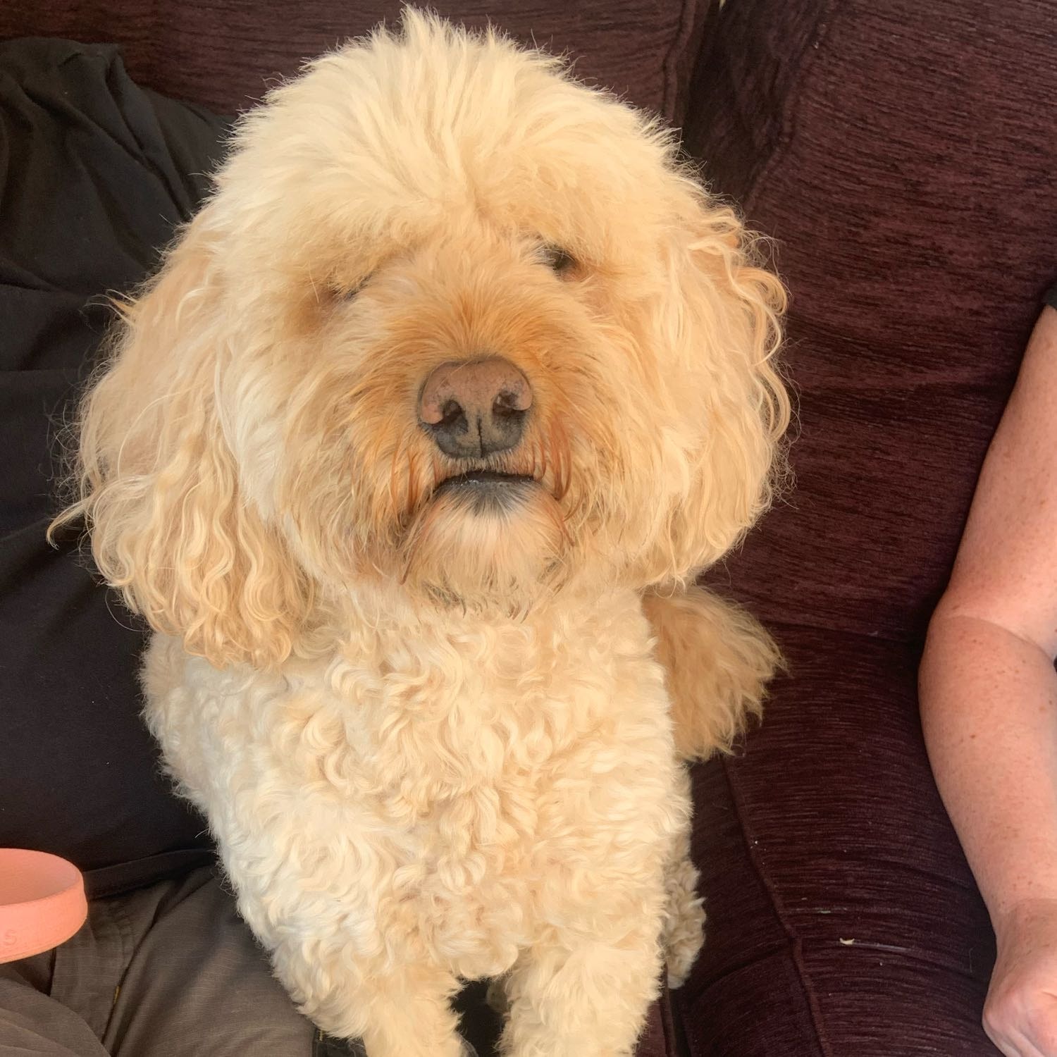 Ted 