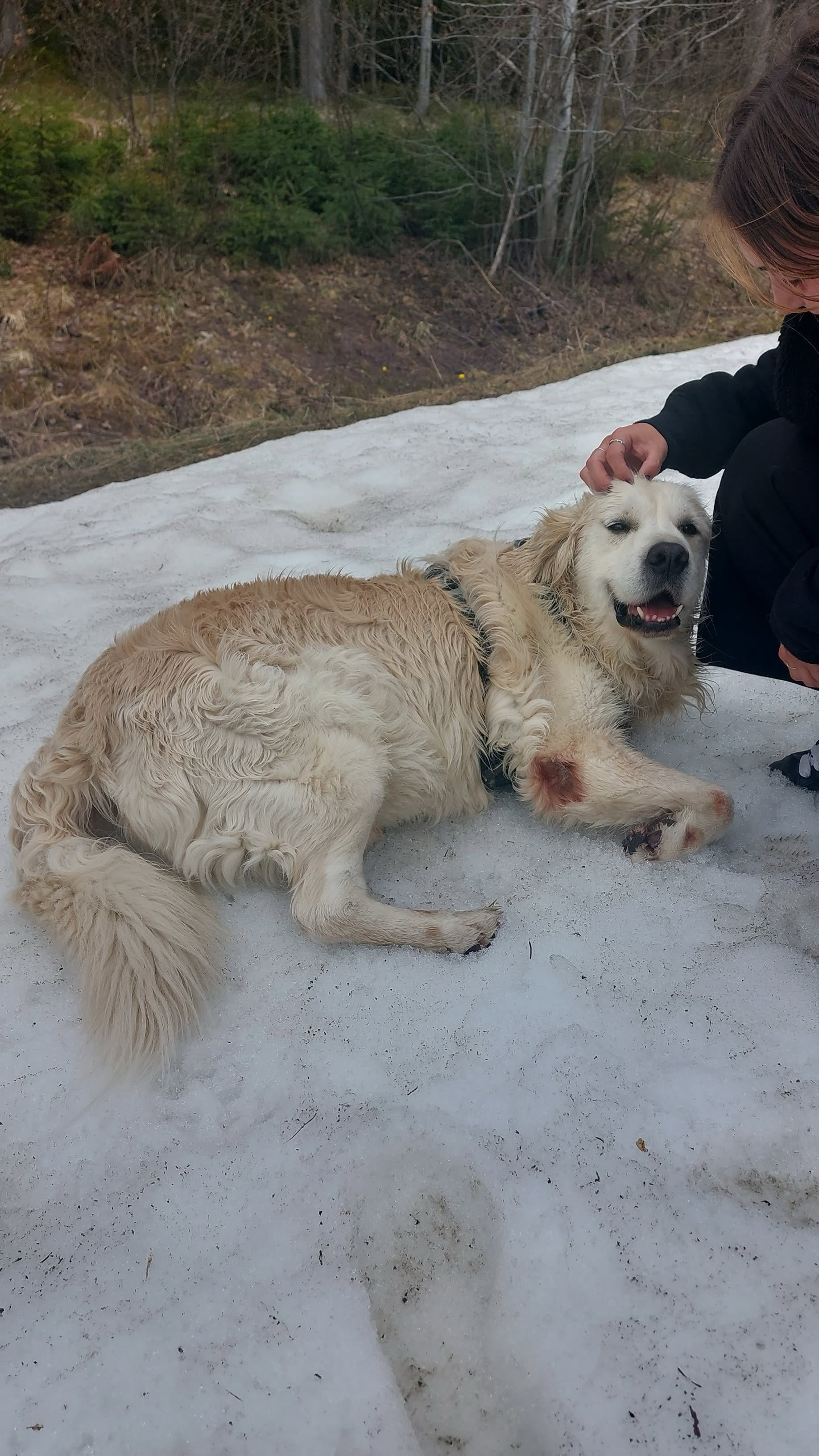 image-8