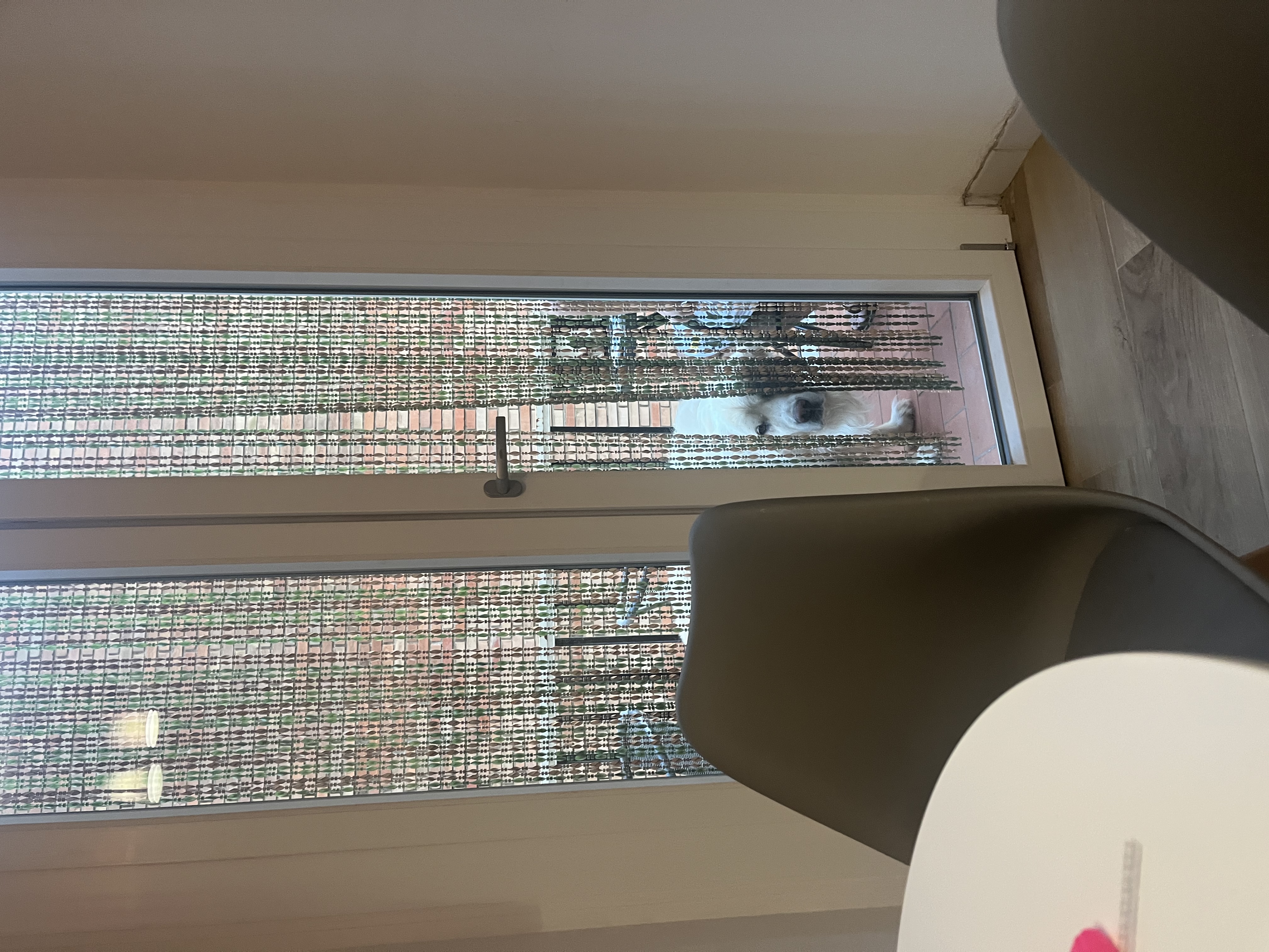 image-16