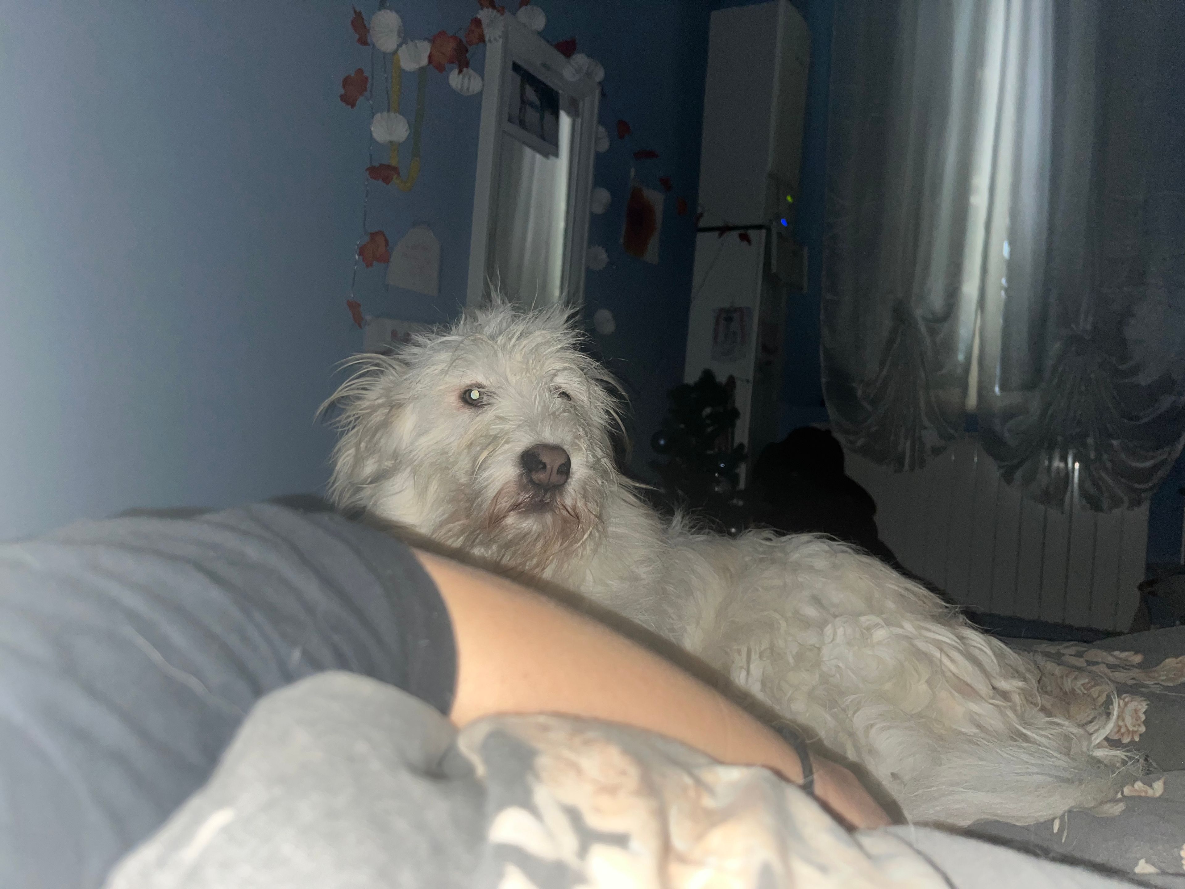 image-5