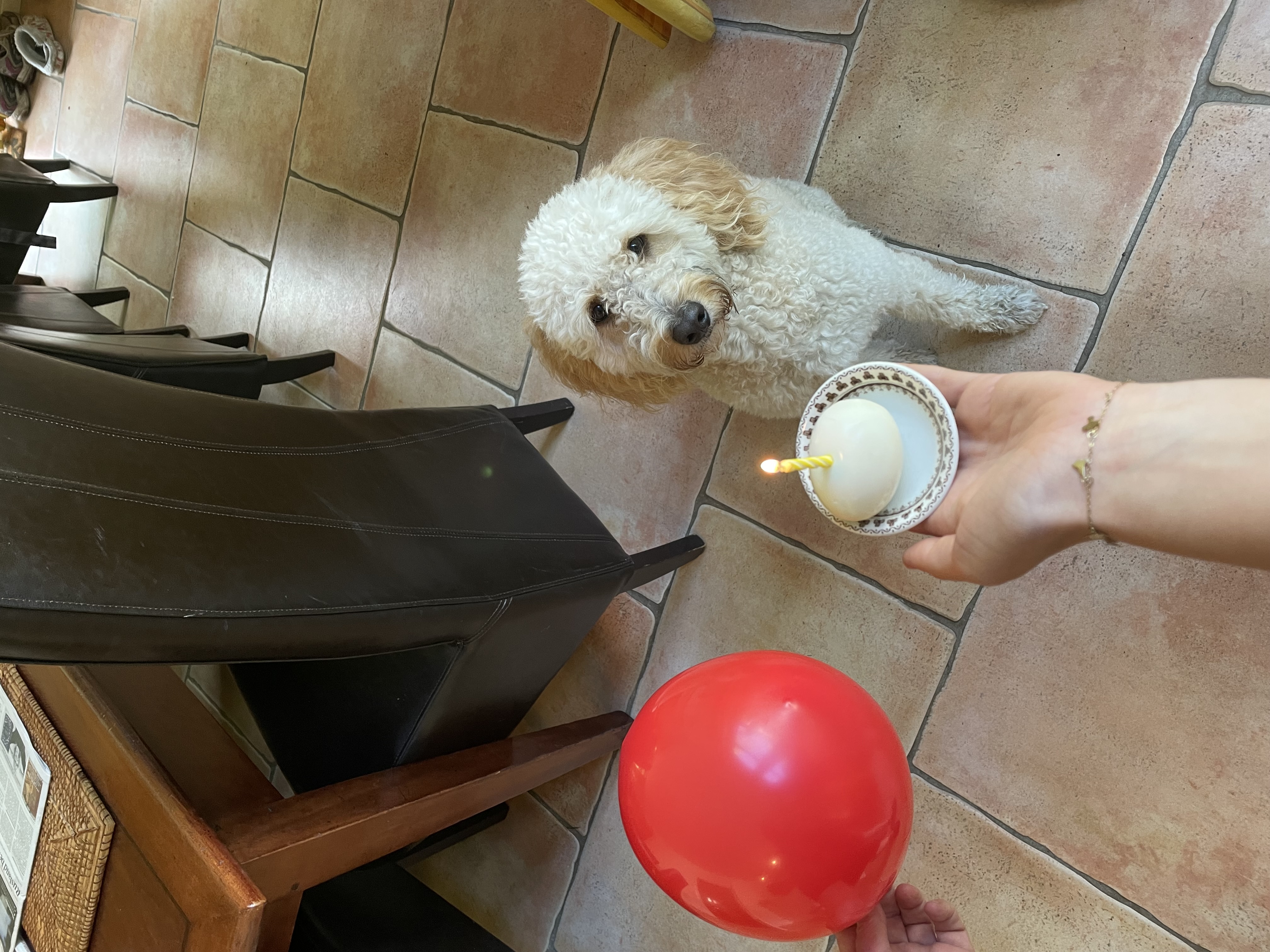 image-5