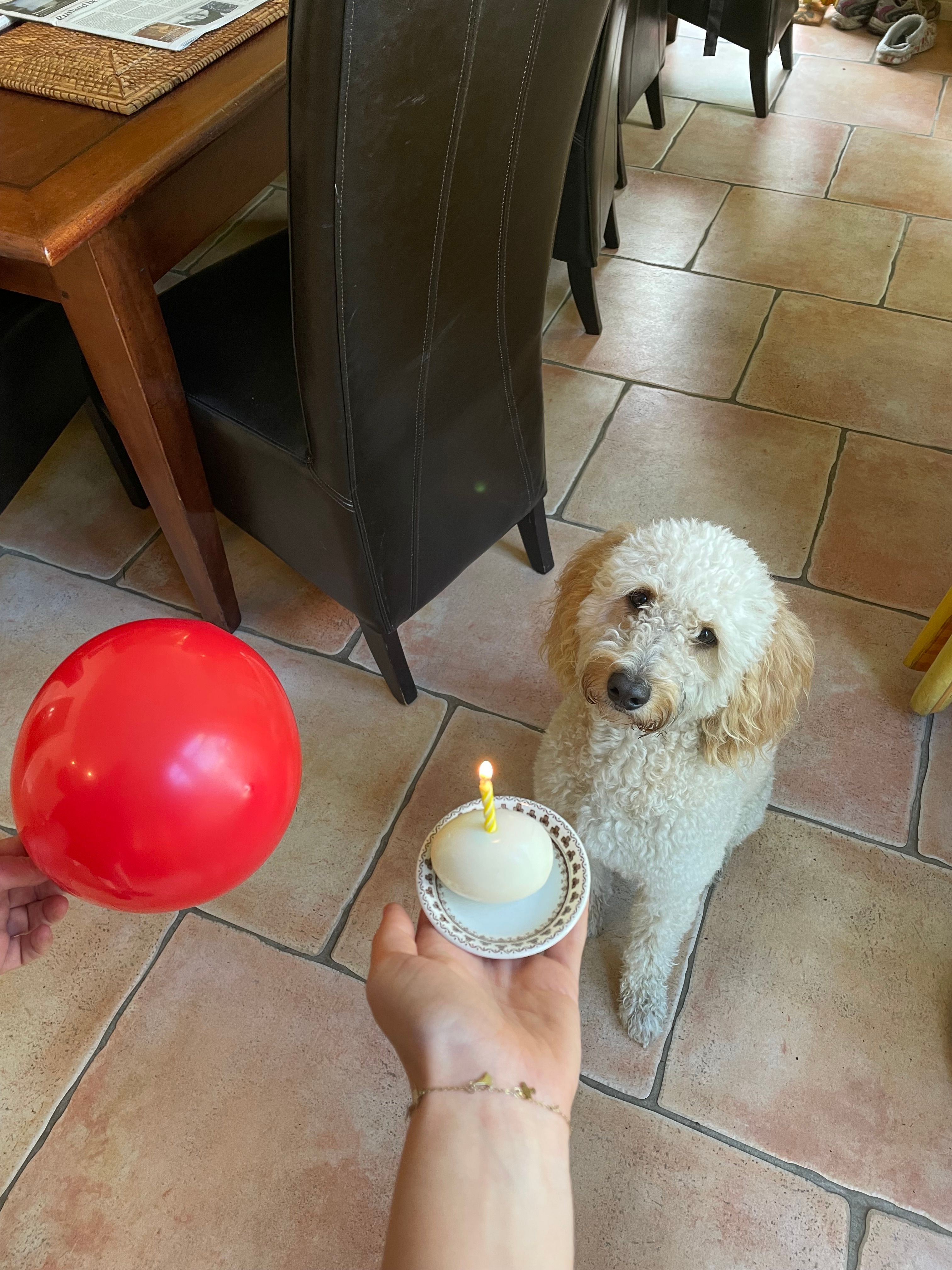 image-5