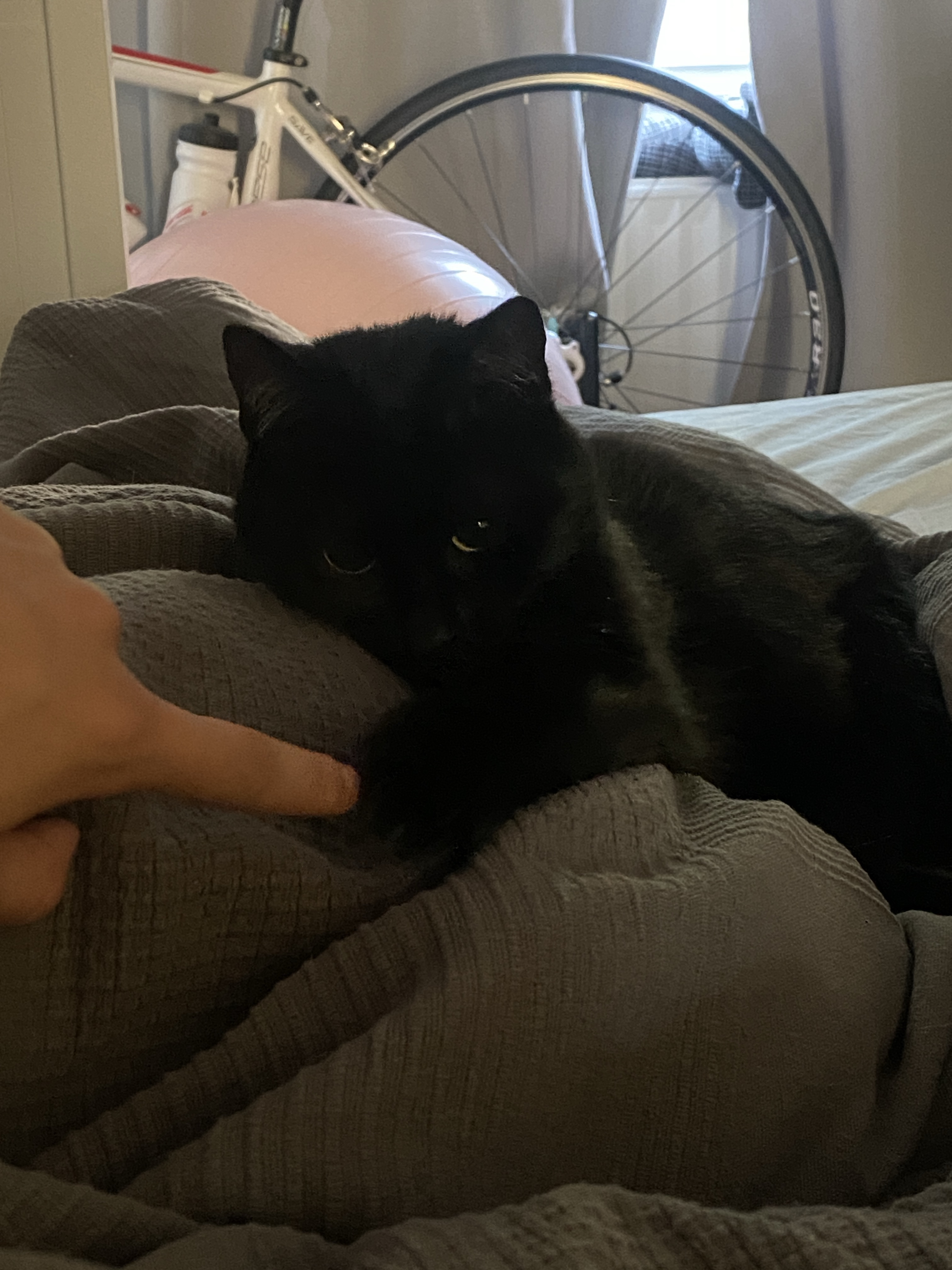 image-11