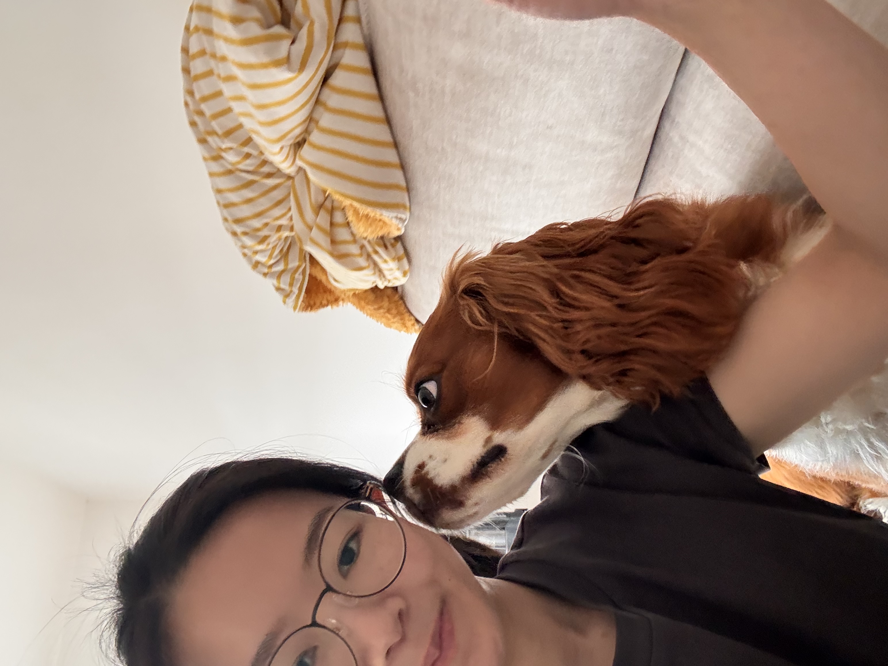 image-8