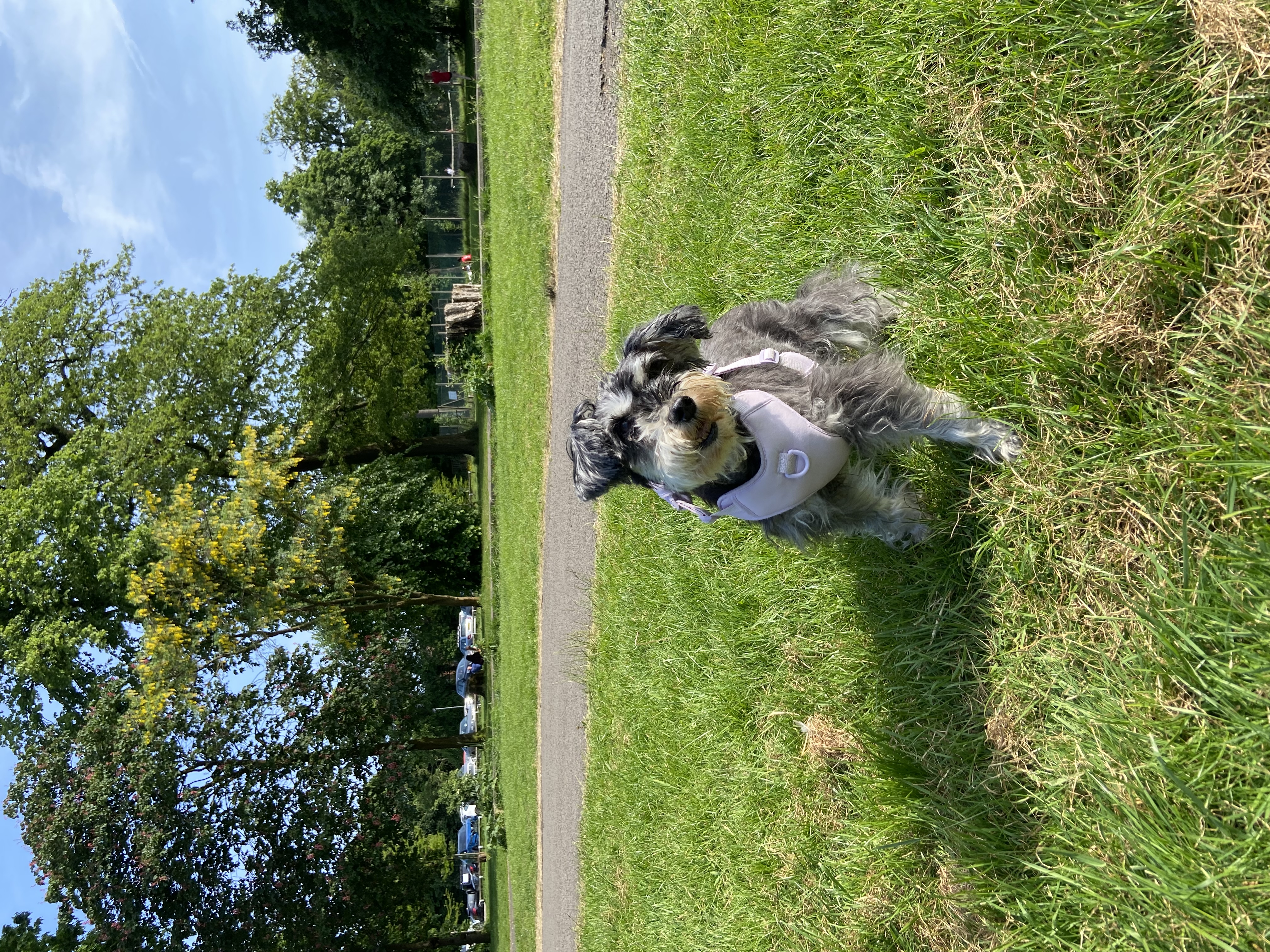 image-15
