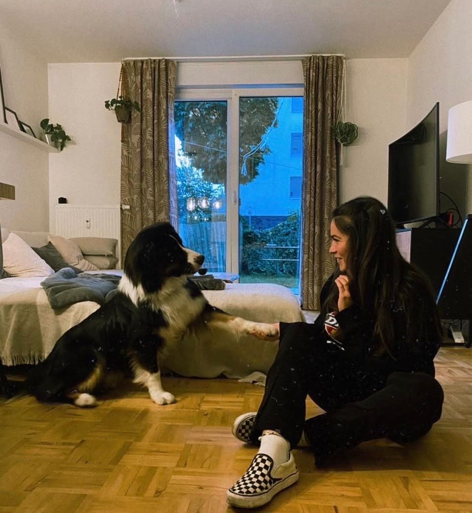 image-7