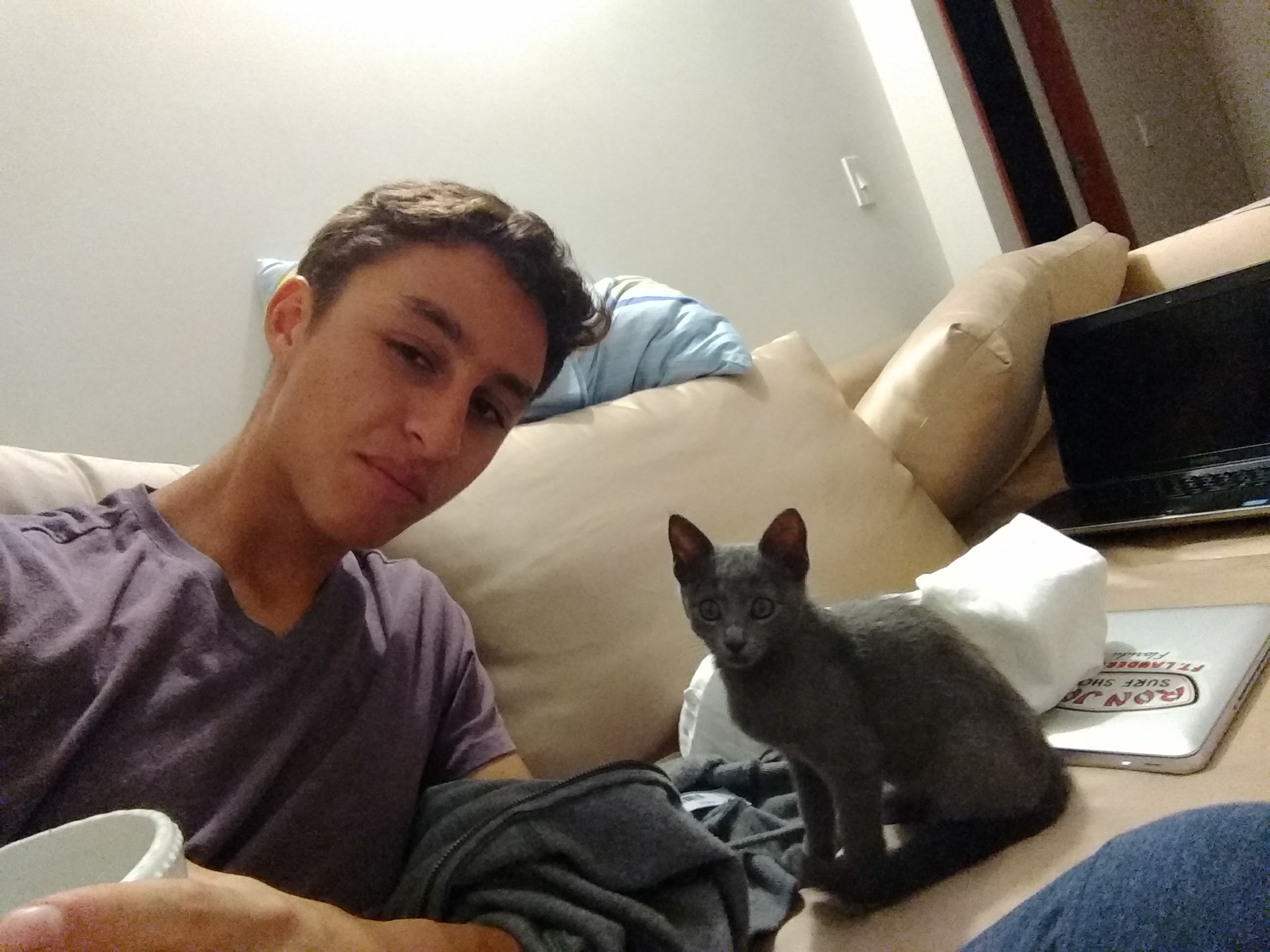 image-7