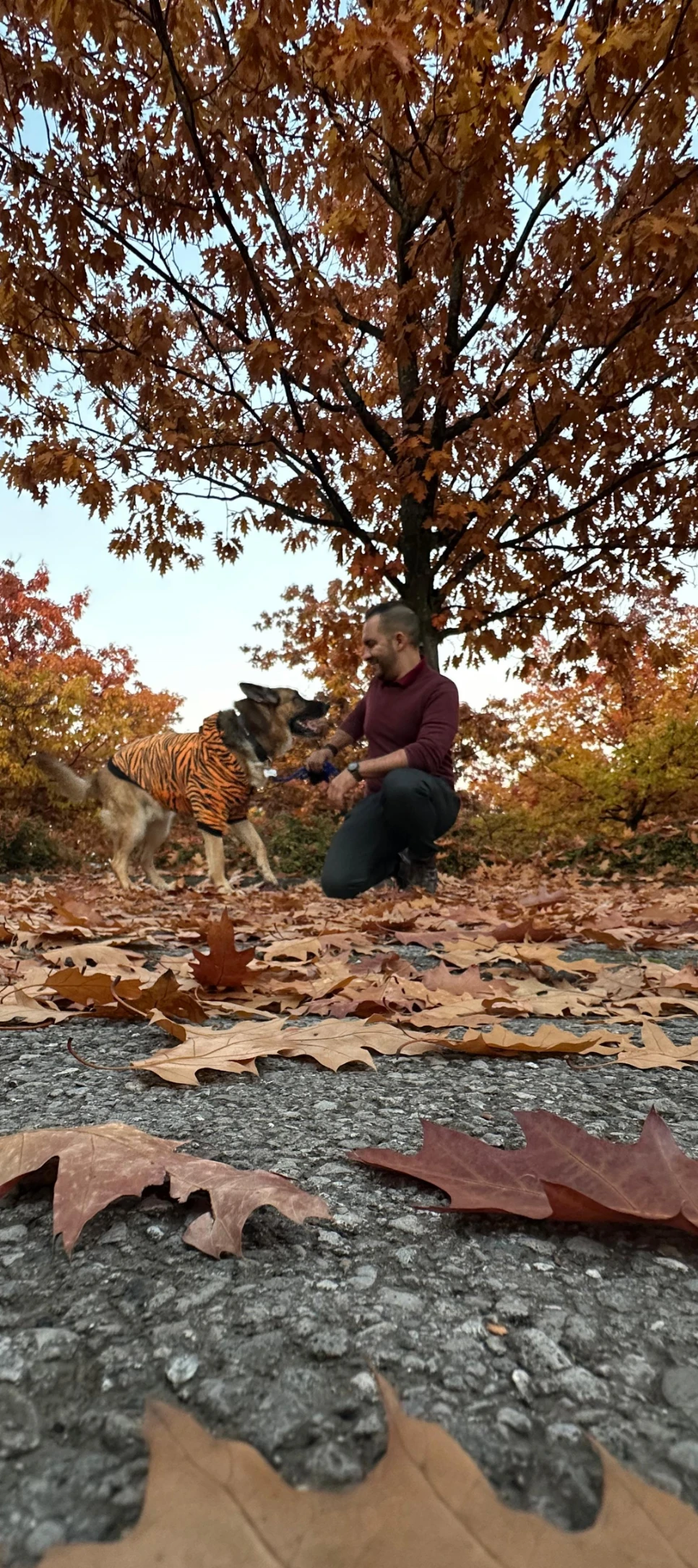 image-4