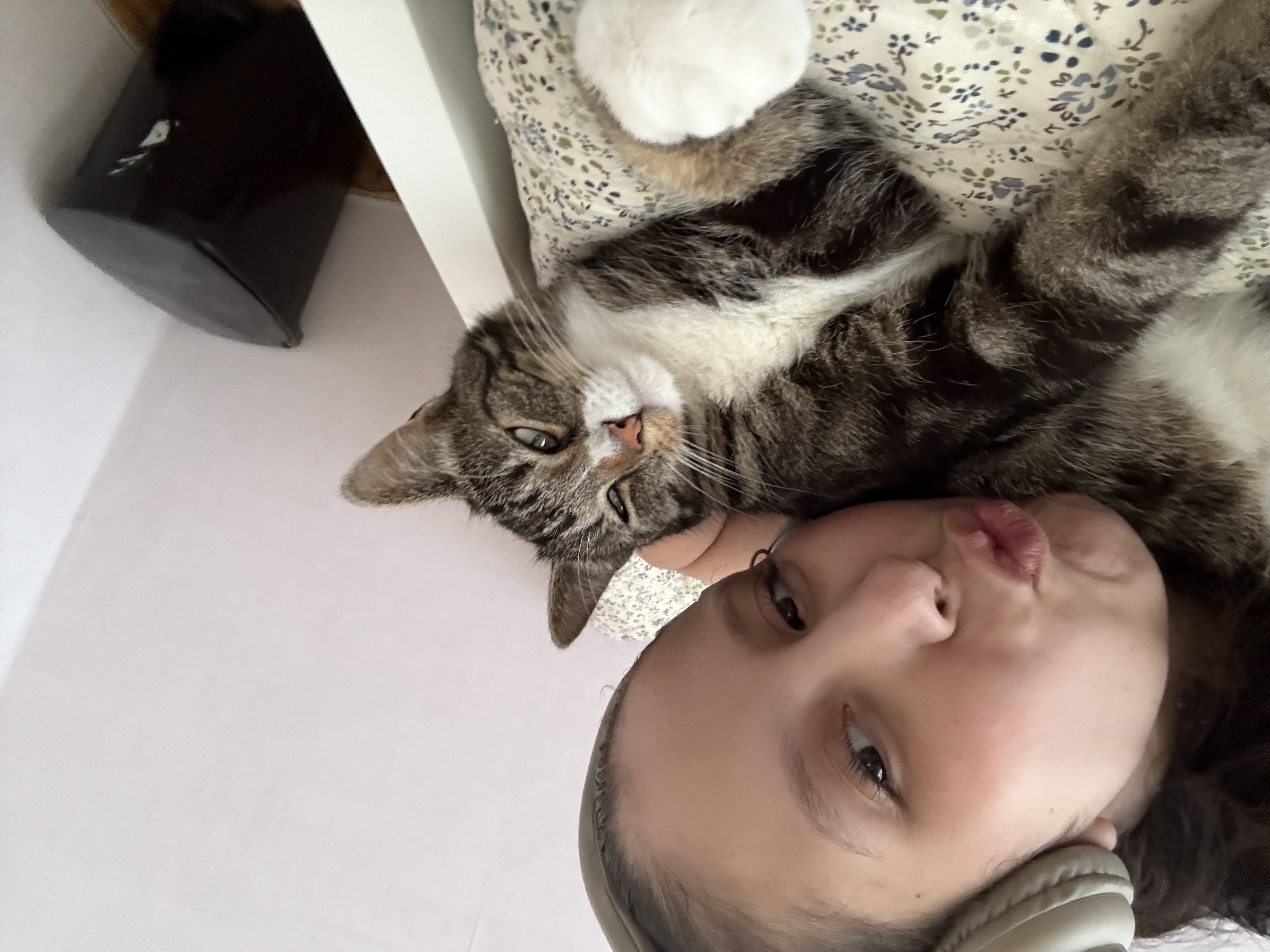 image-5