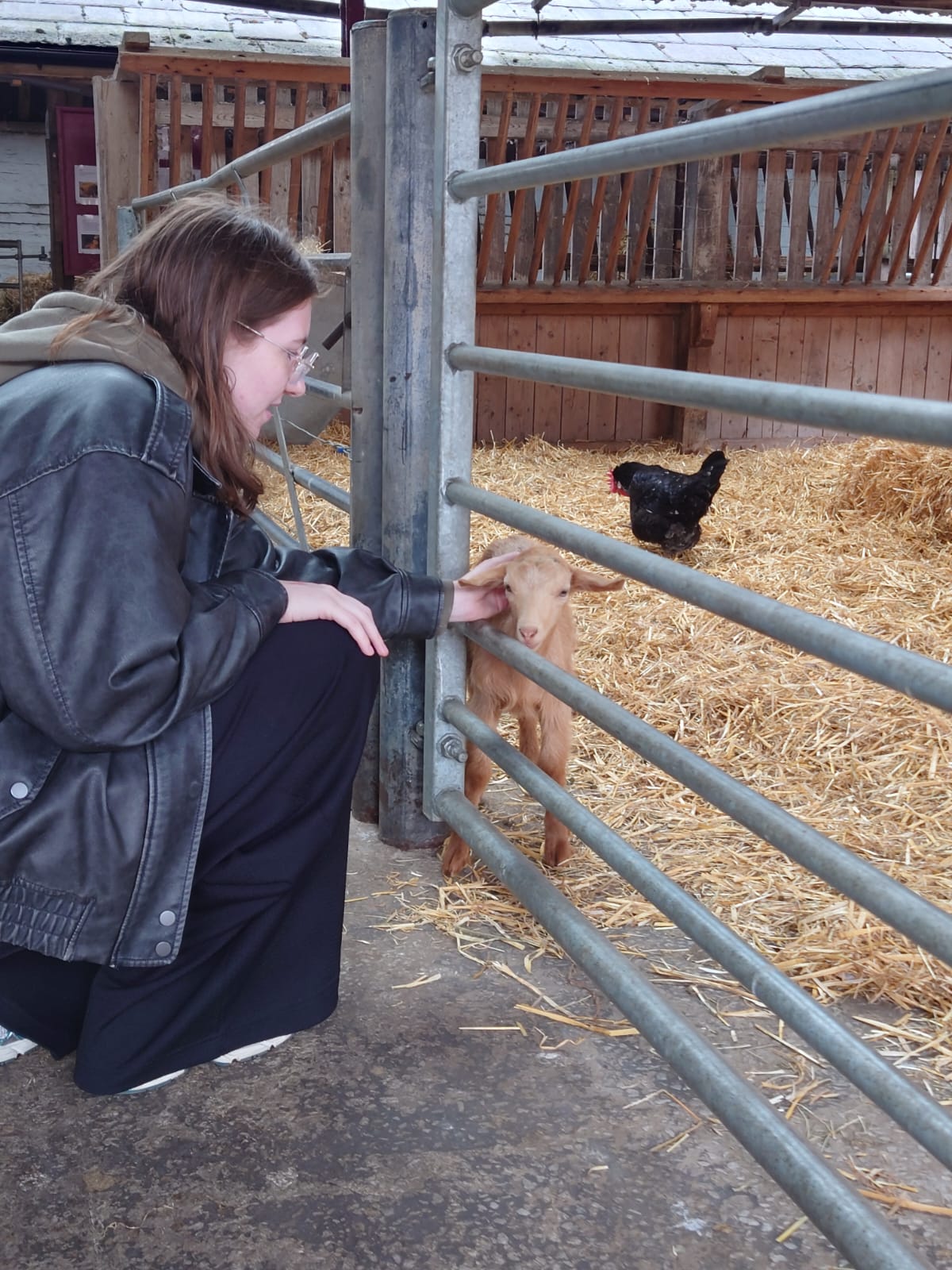 image-3