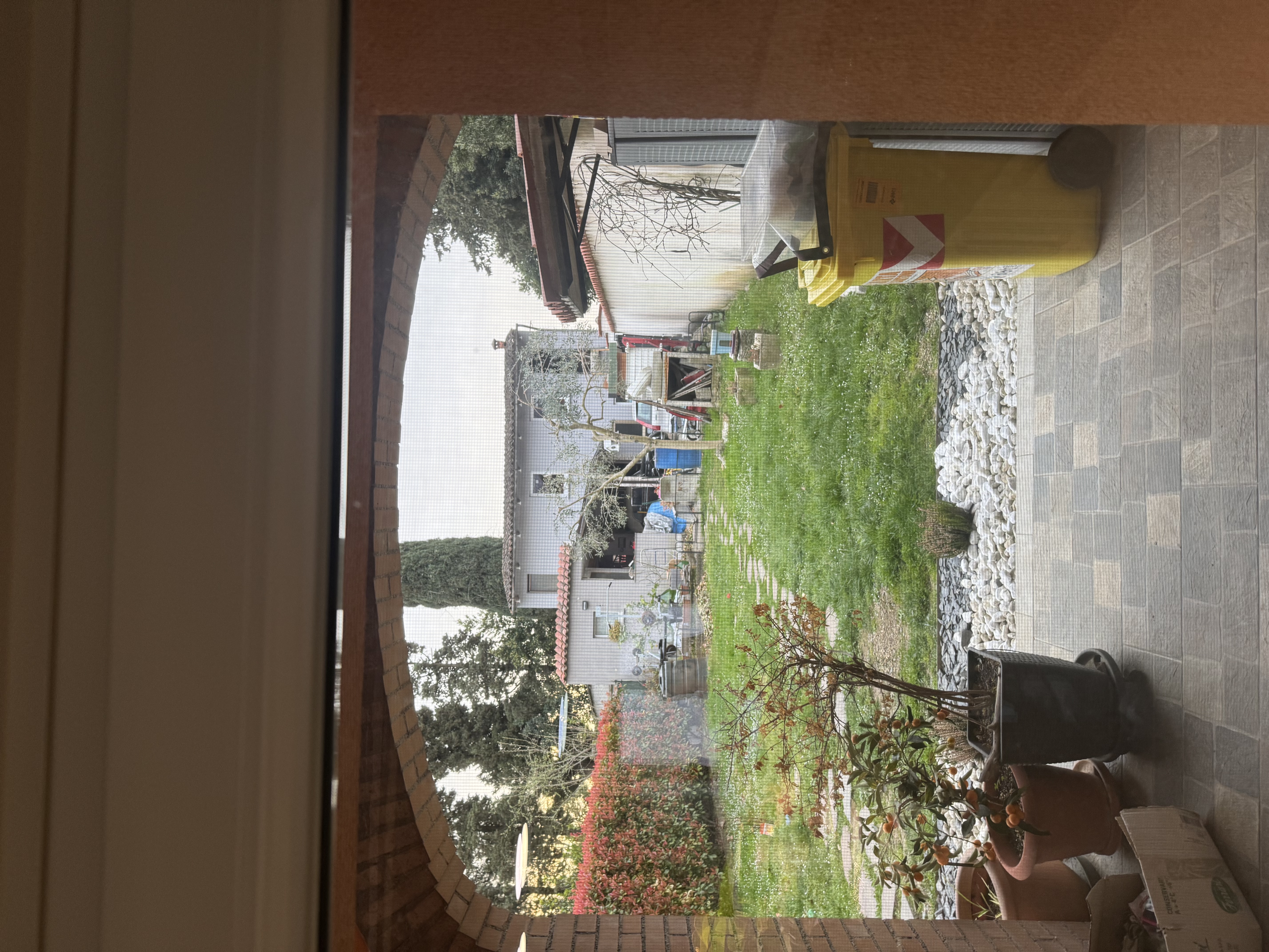 image-20