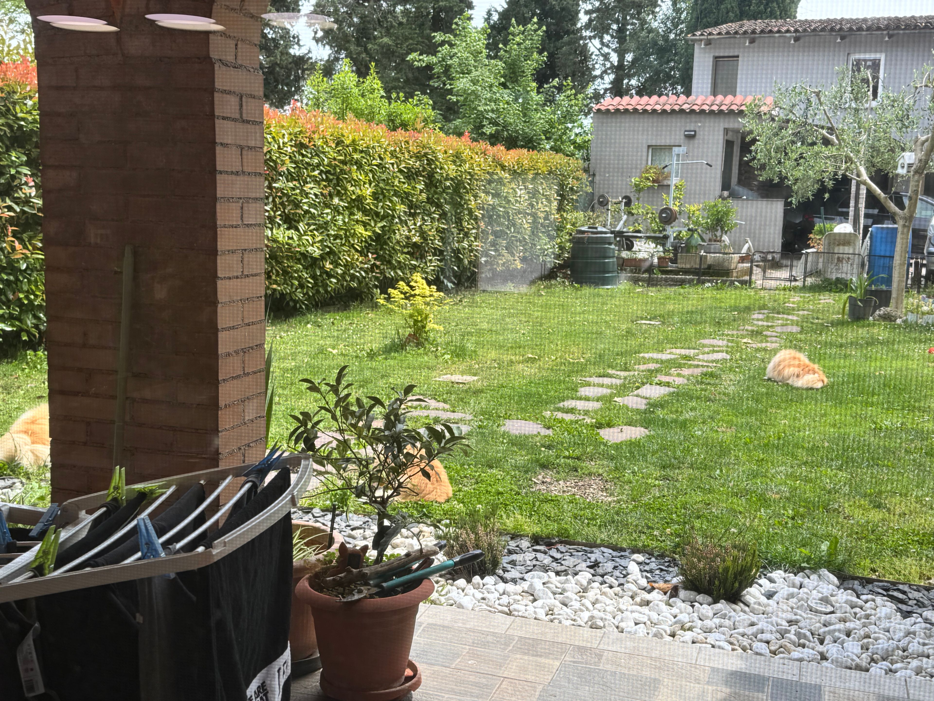 image-19