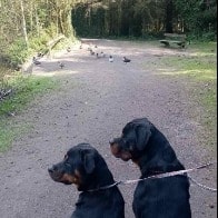 Kaiser and Roxie