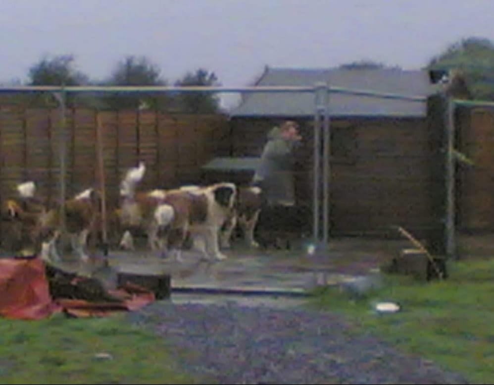 image-0