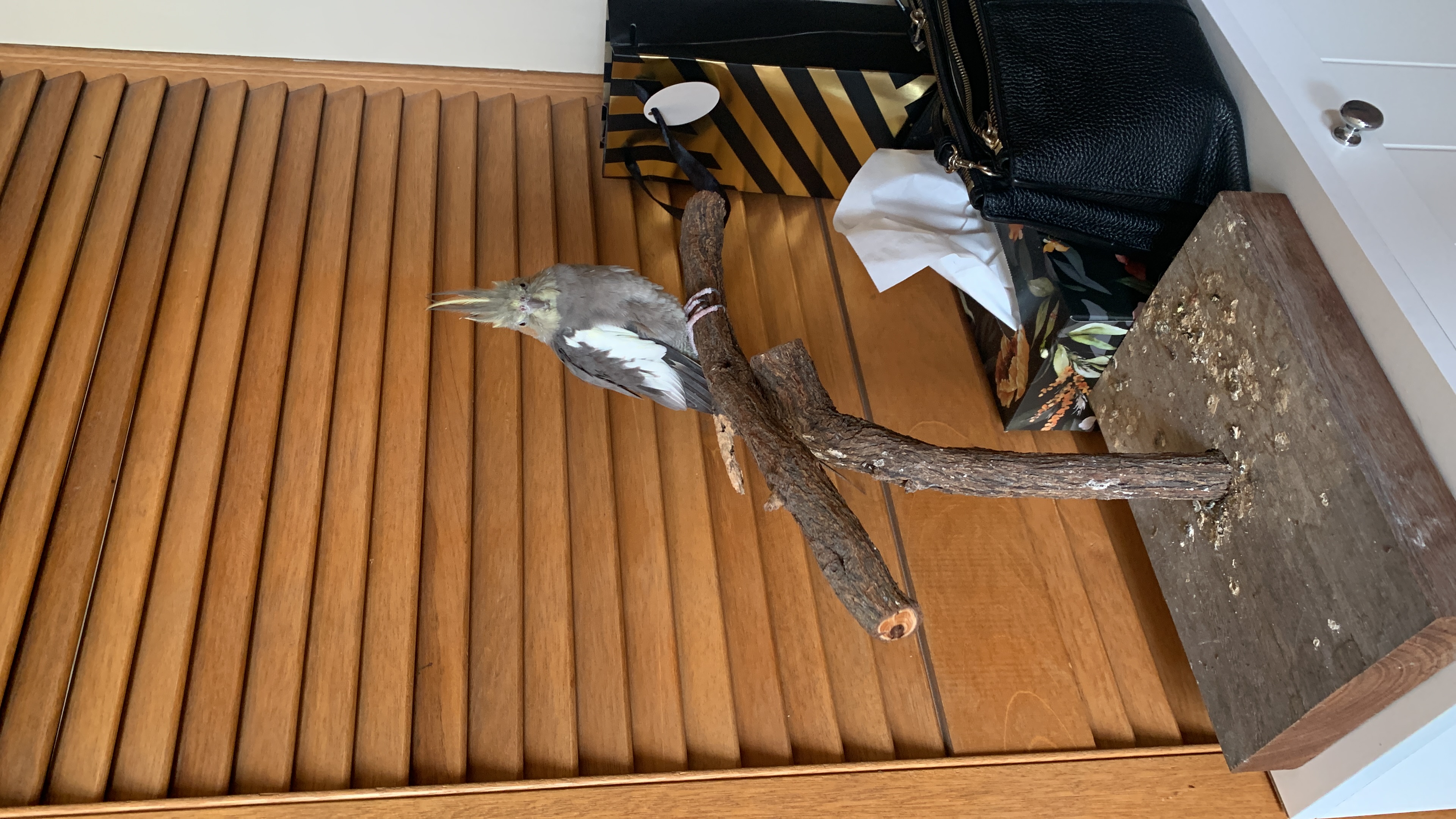 image-7