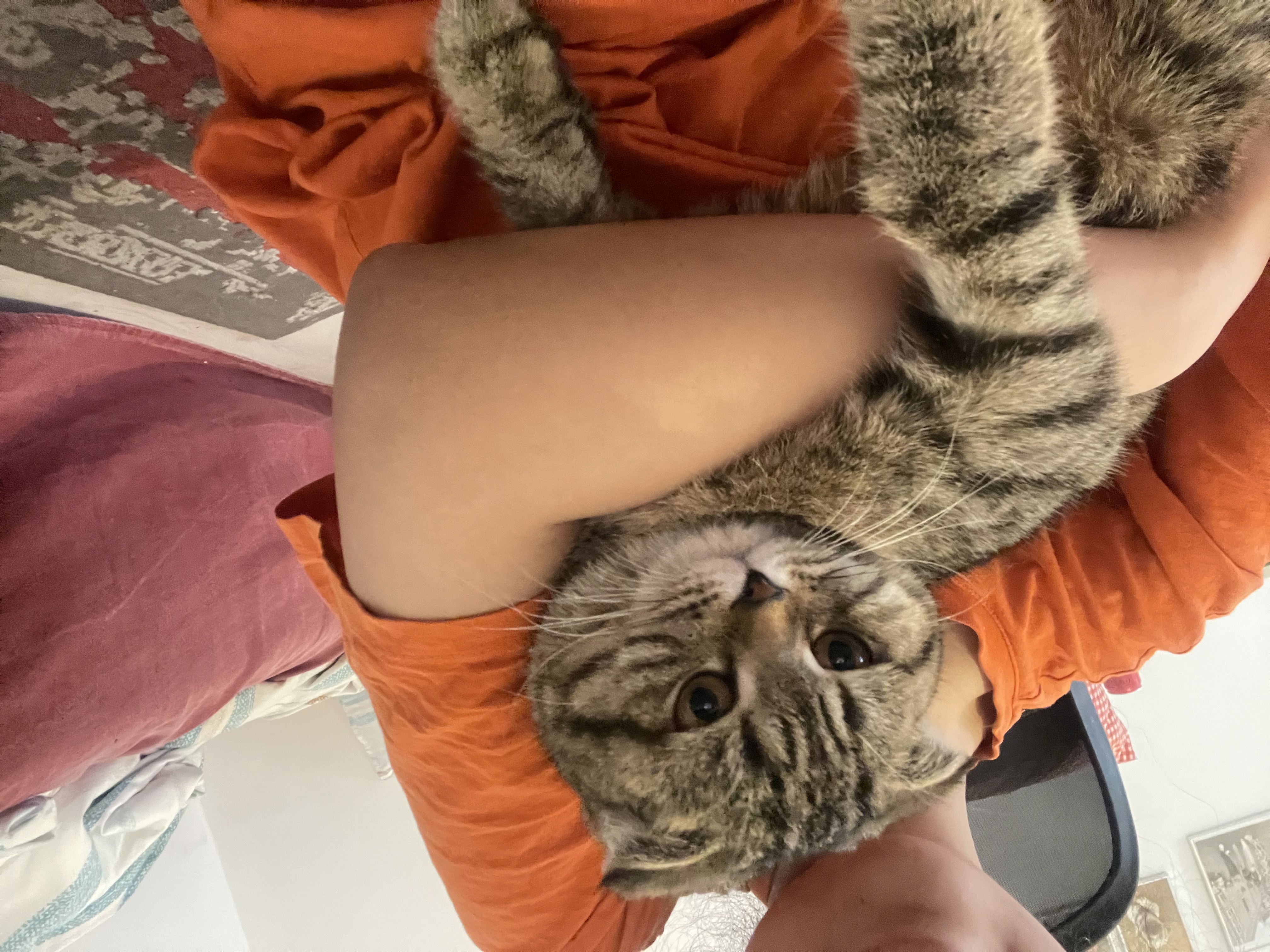 image-6