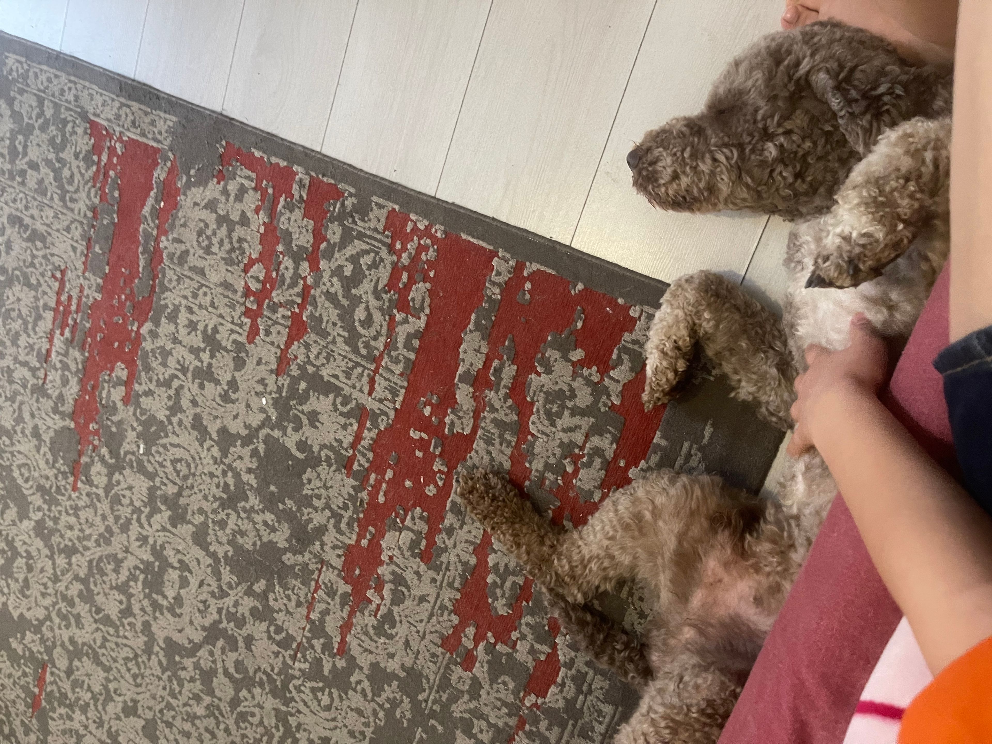 image-7