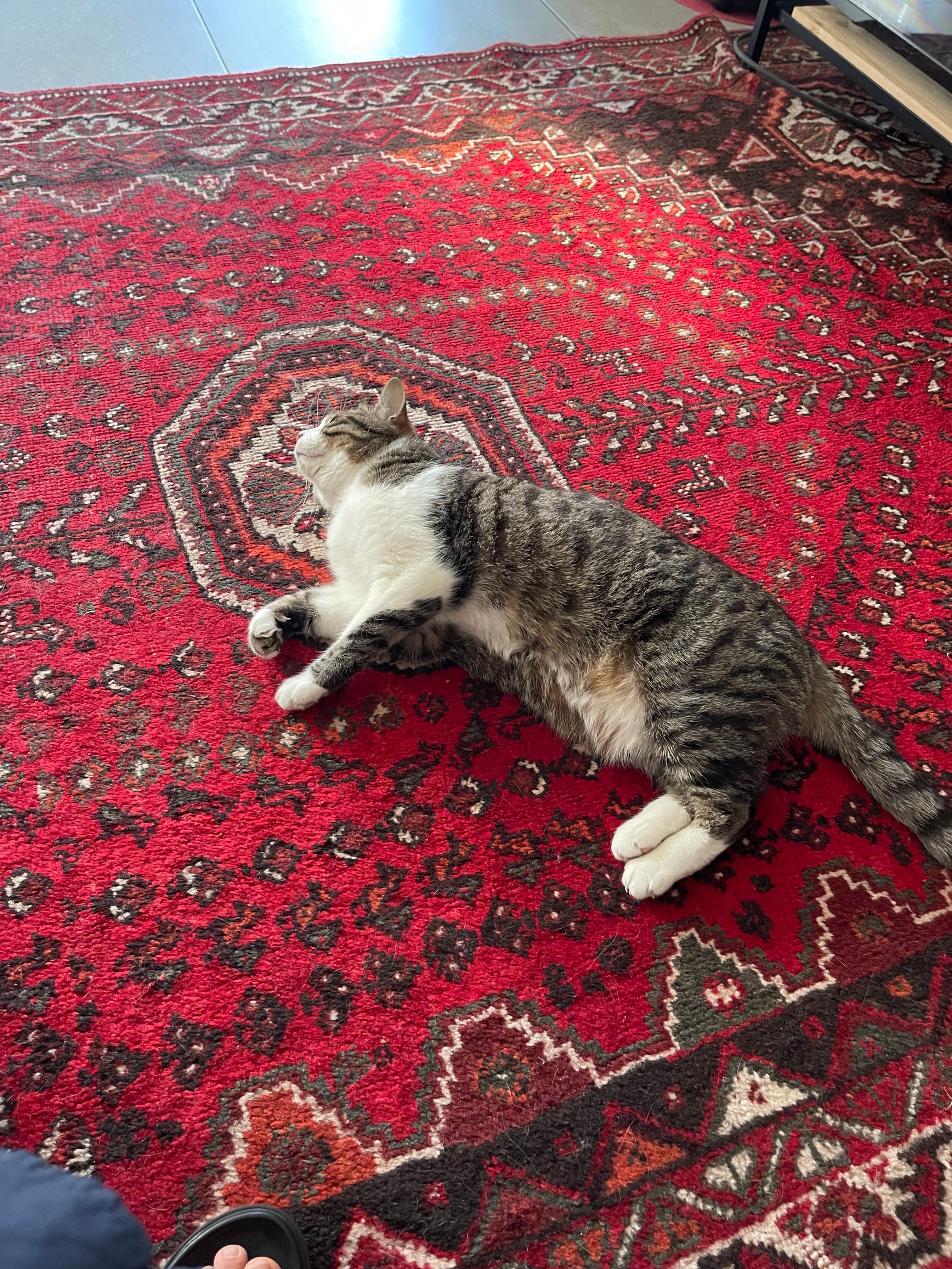 image-10