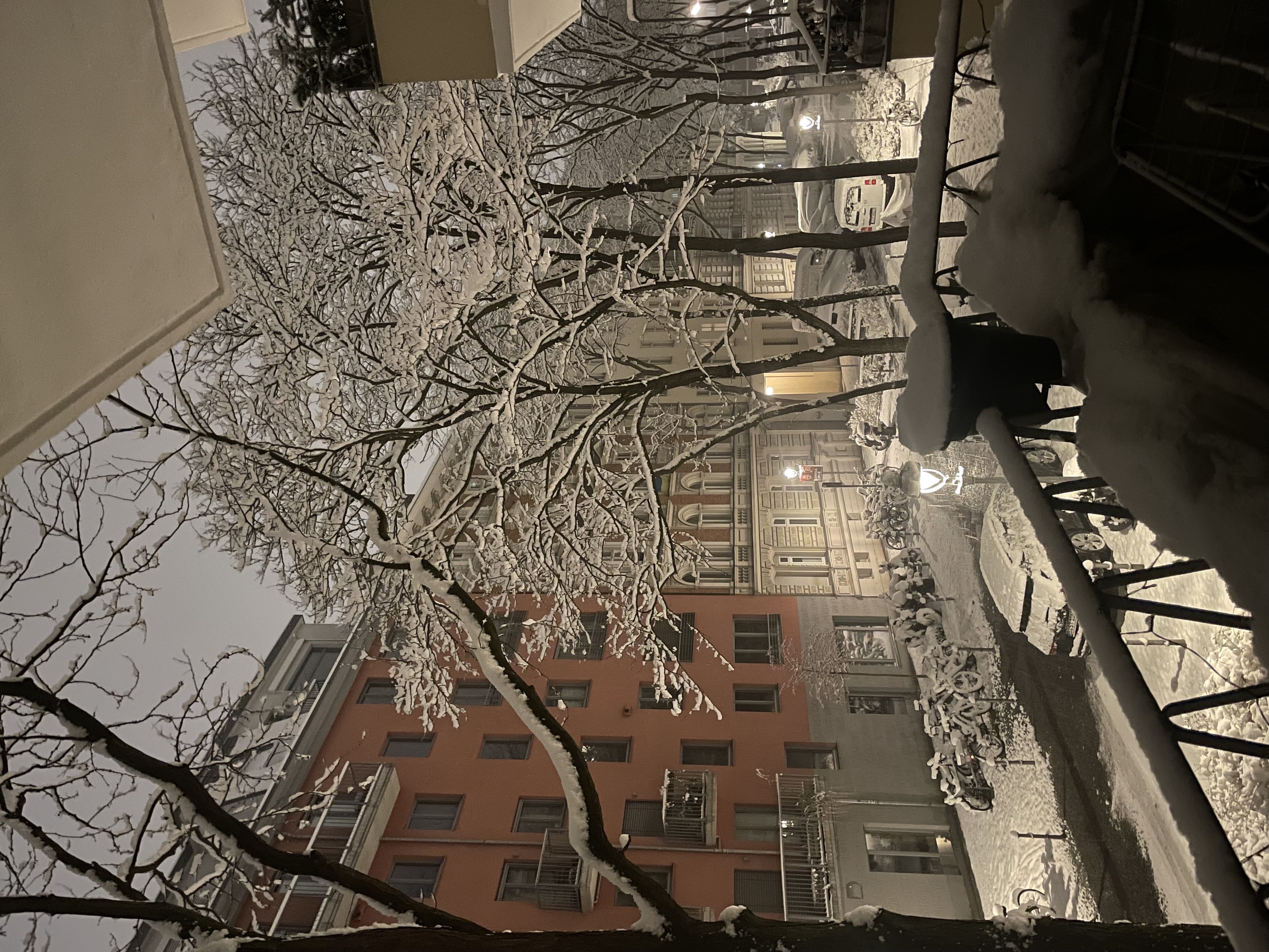 image-20