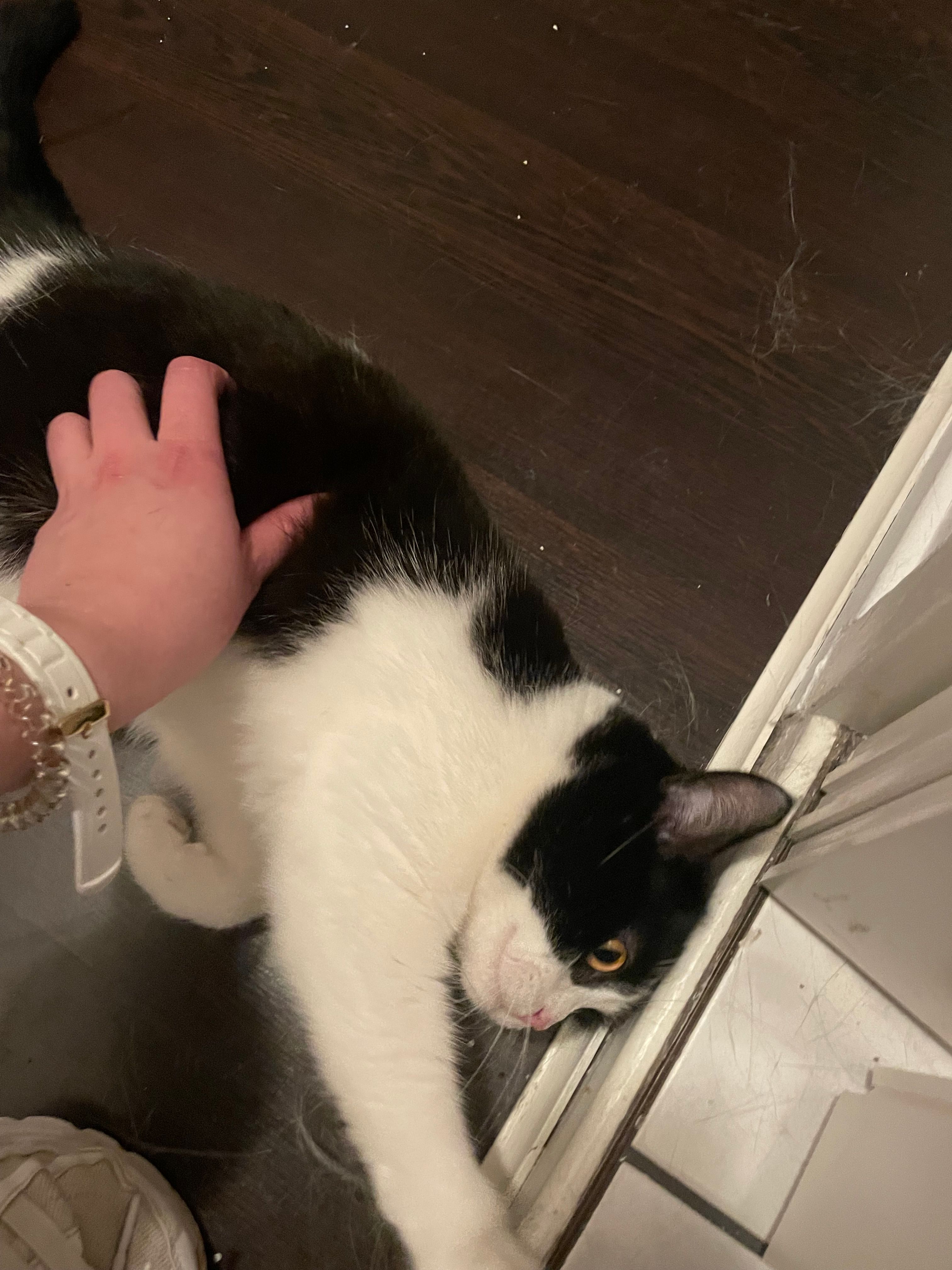 image-6