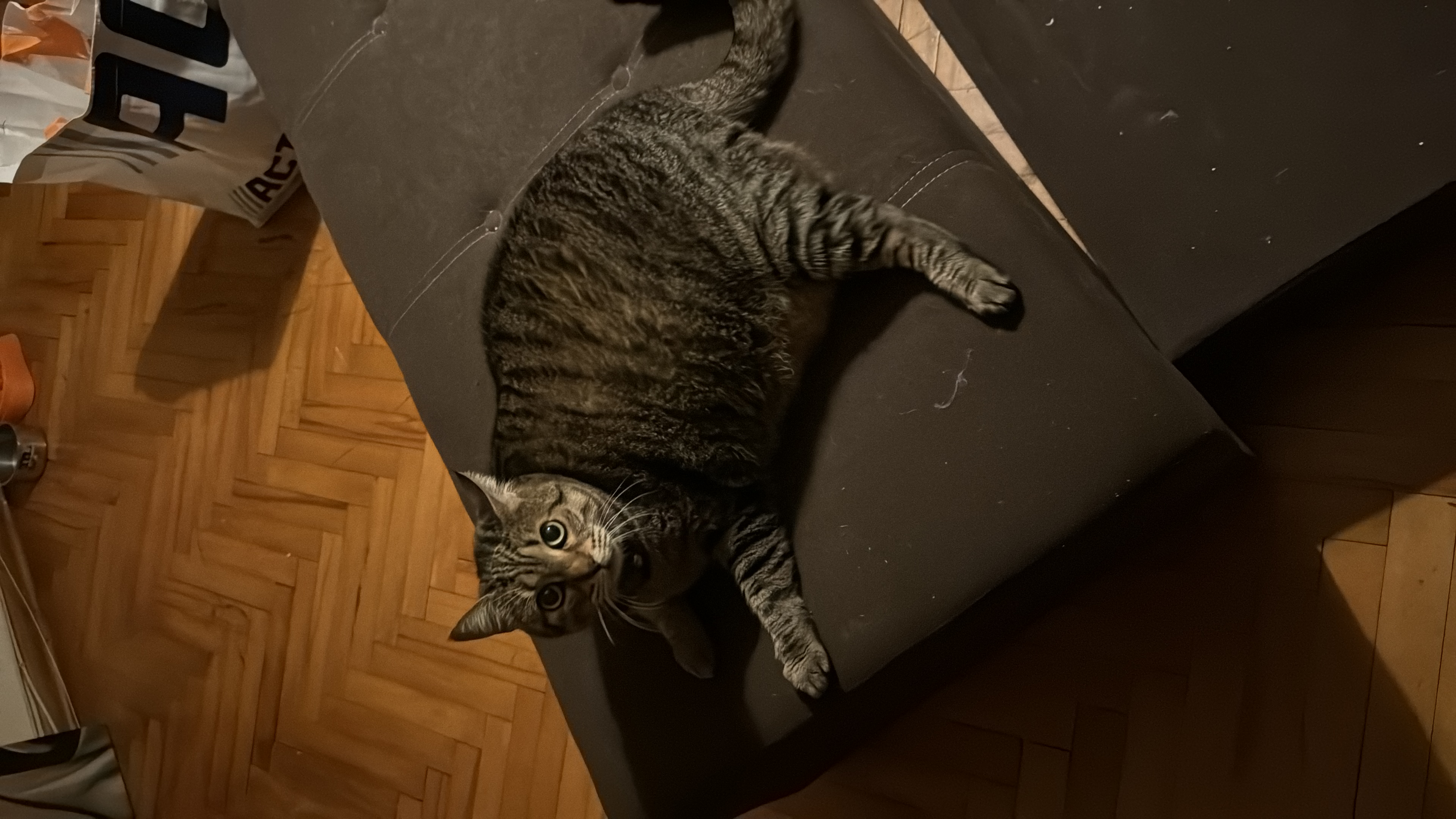 image-11