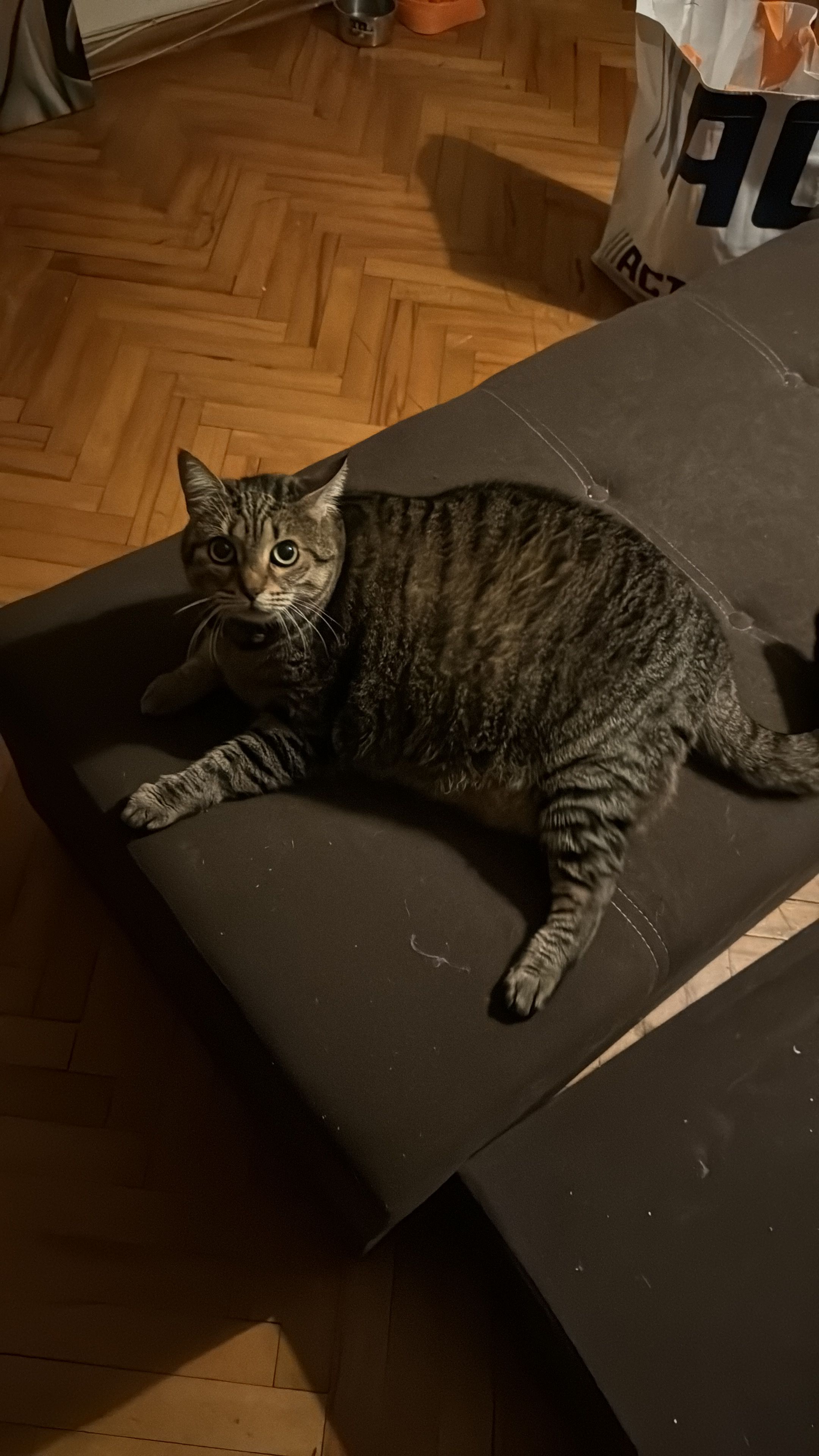 image-11
