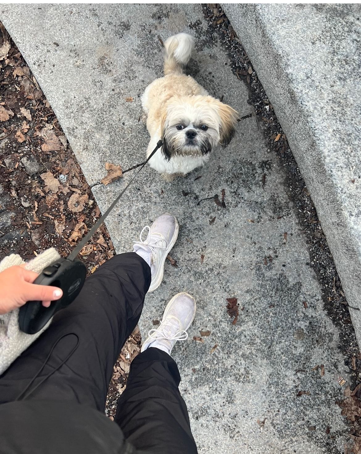 image-9