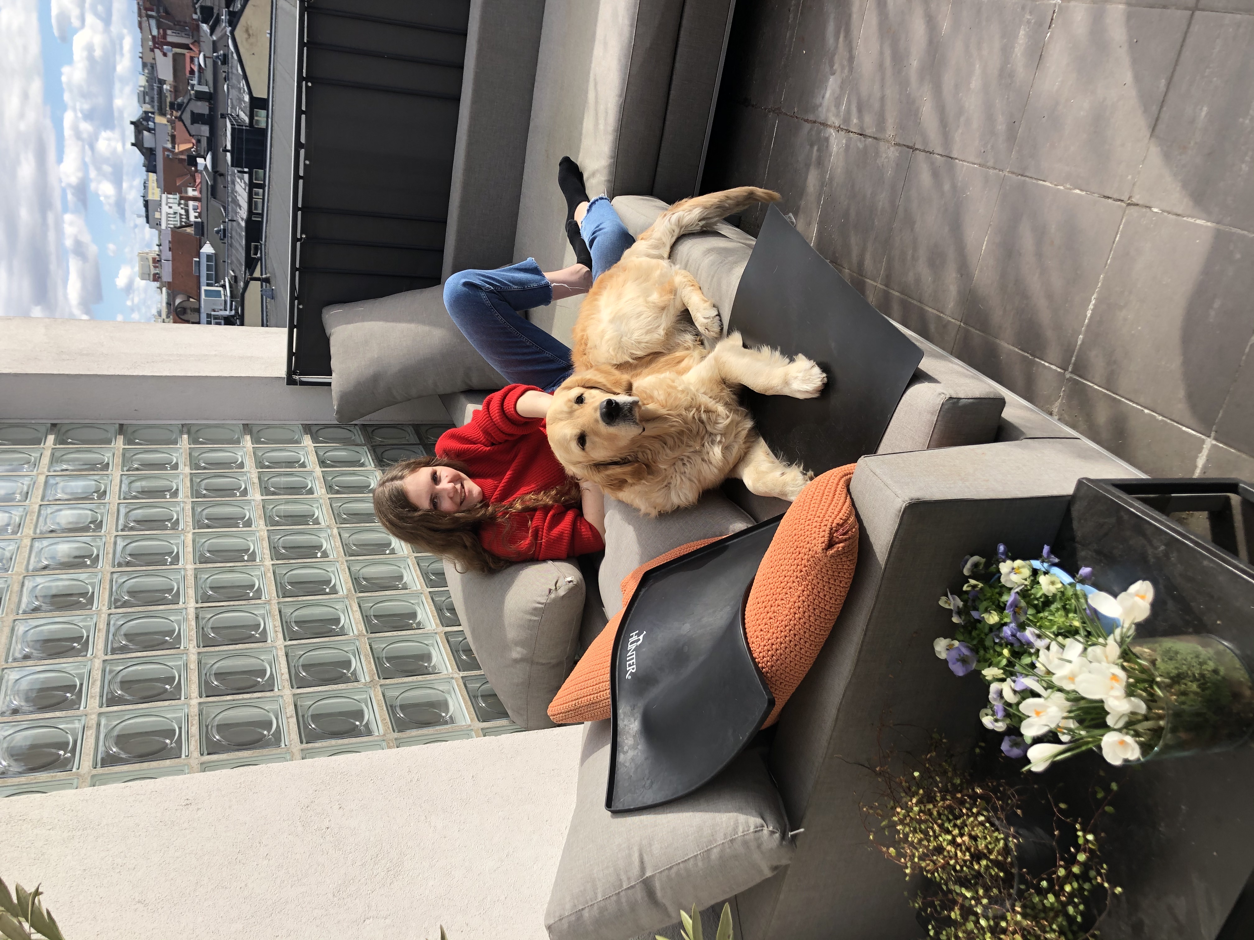 image-15