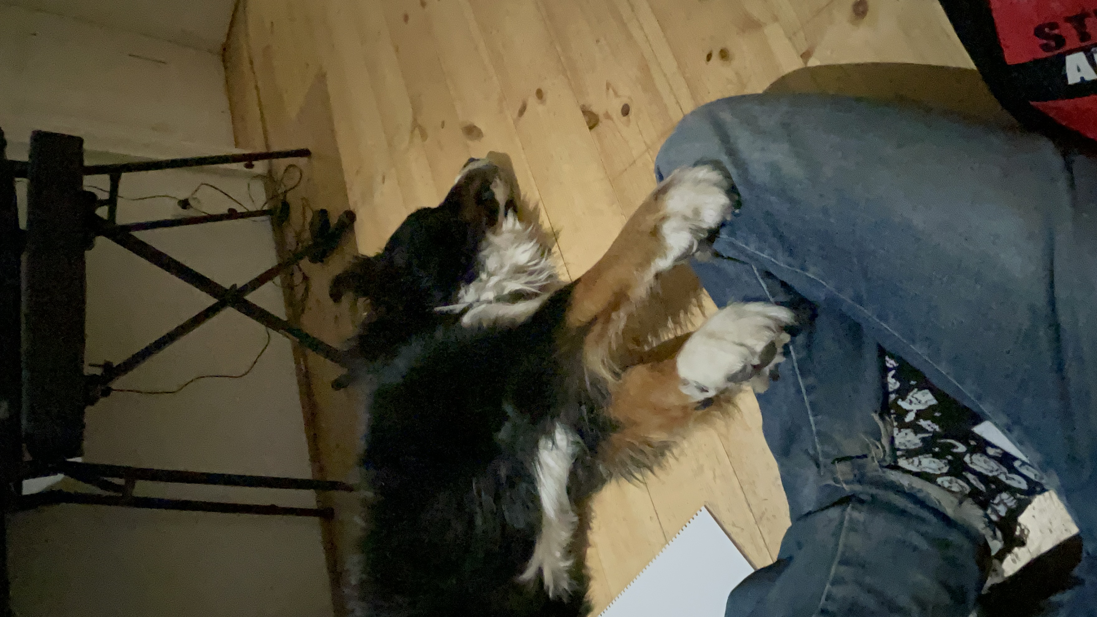 image-4