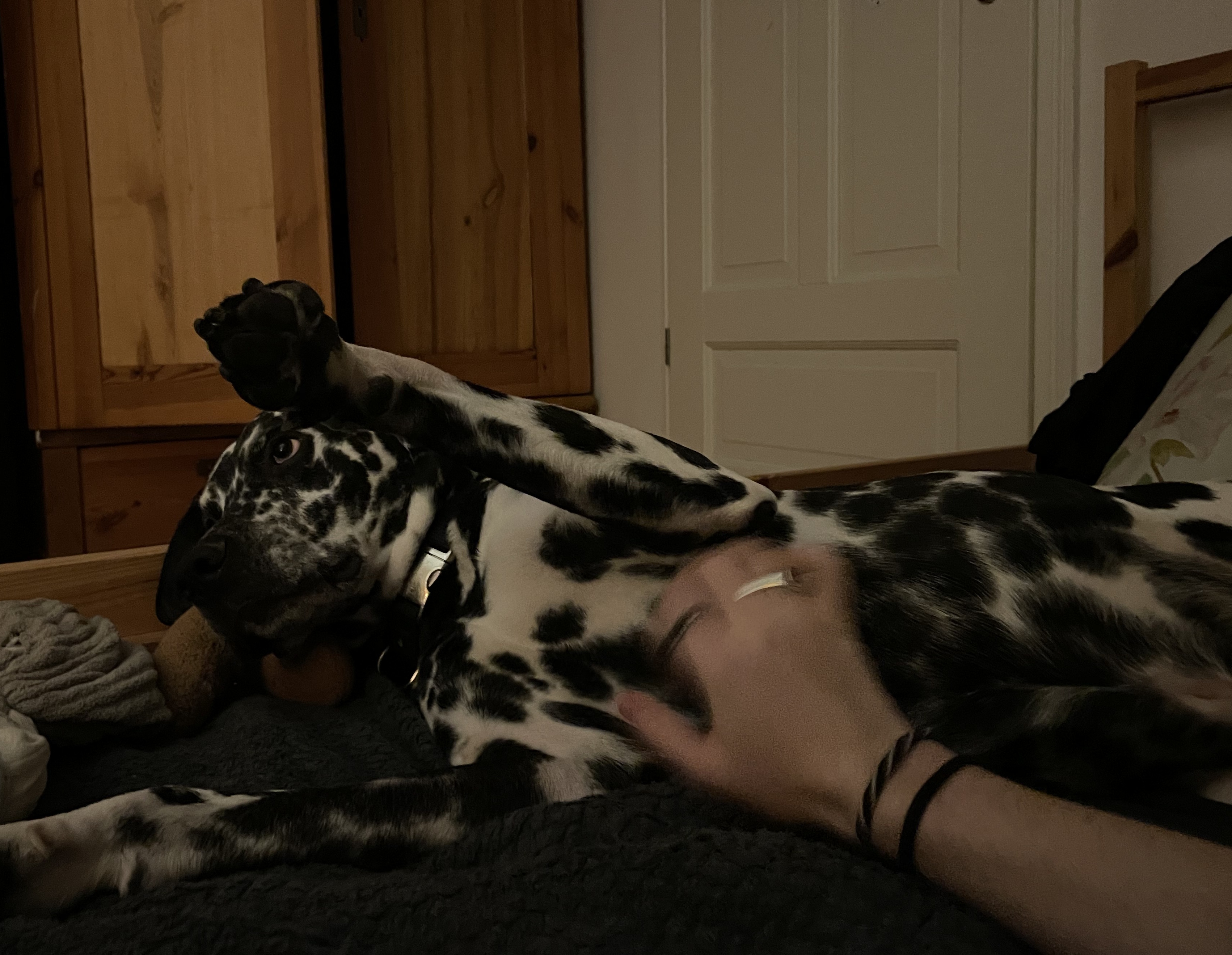 image-8