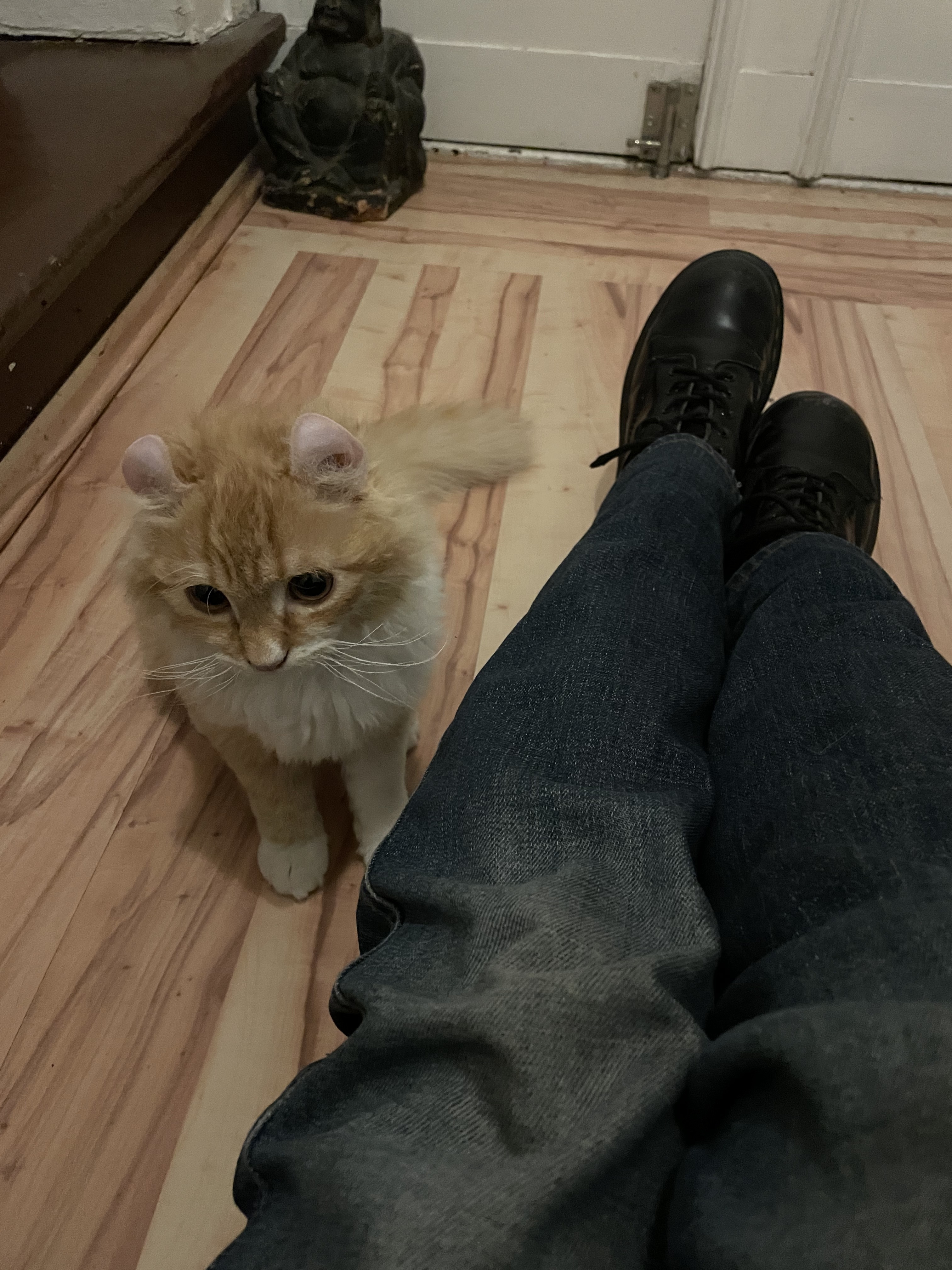 image-9