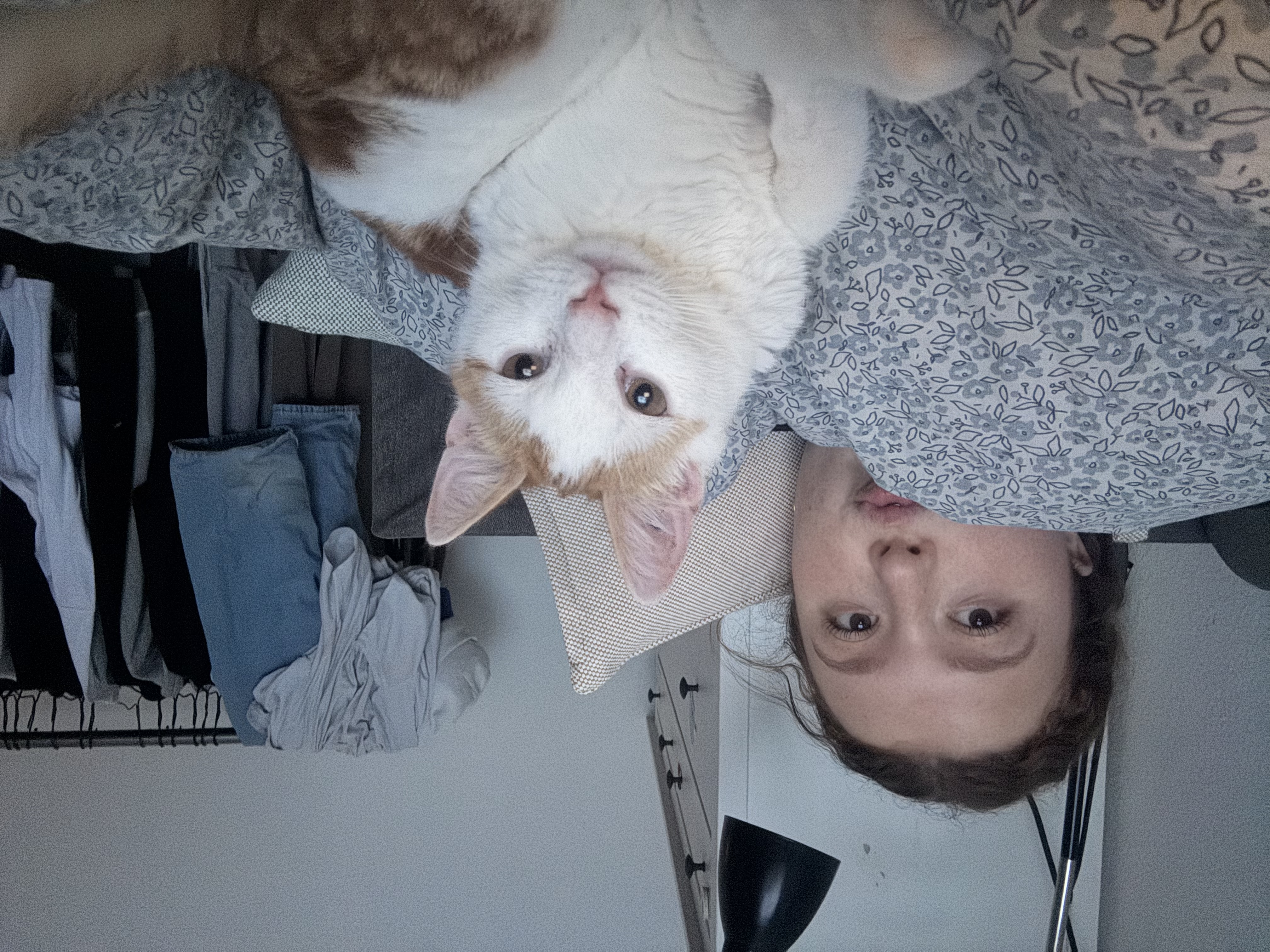 image-7
